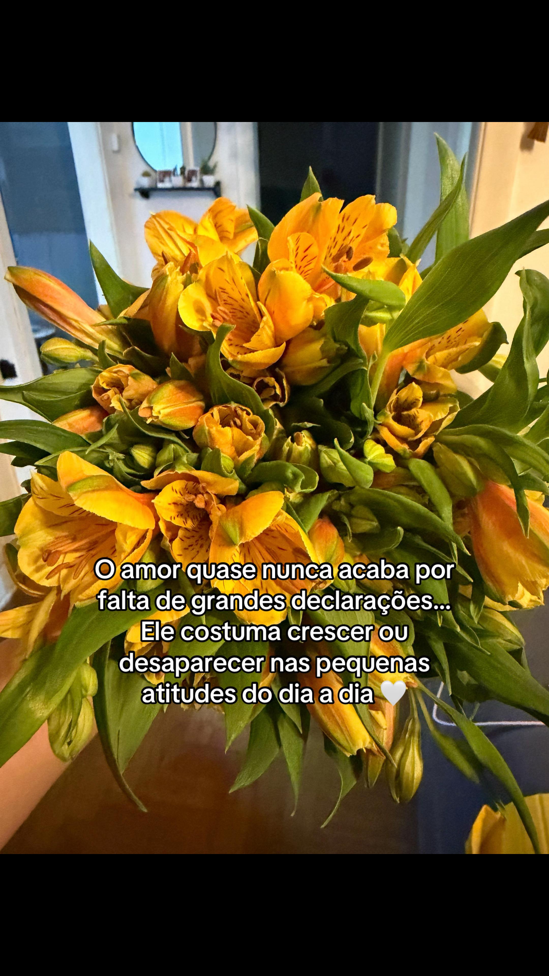 @Andreia Guerra