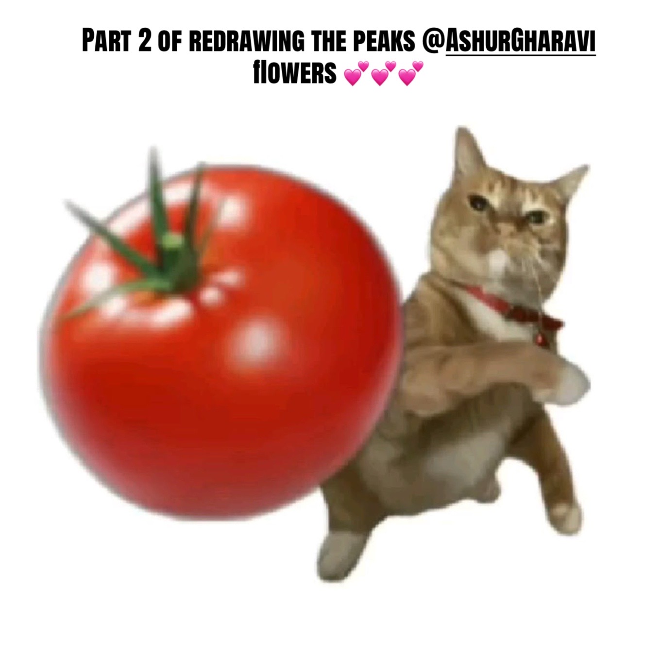 @MEME‼️