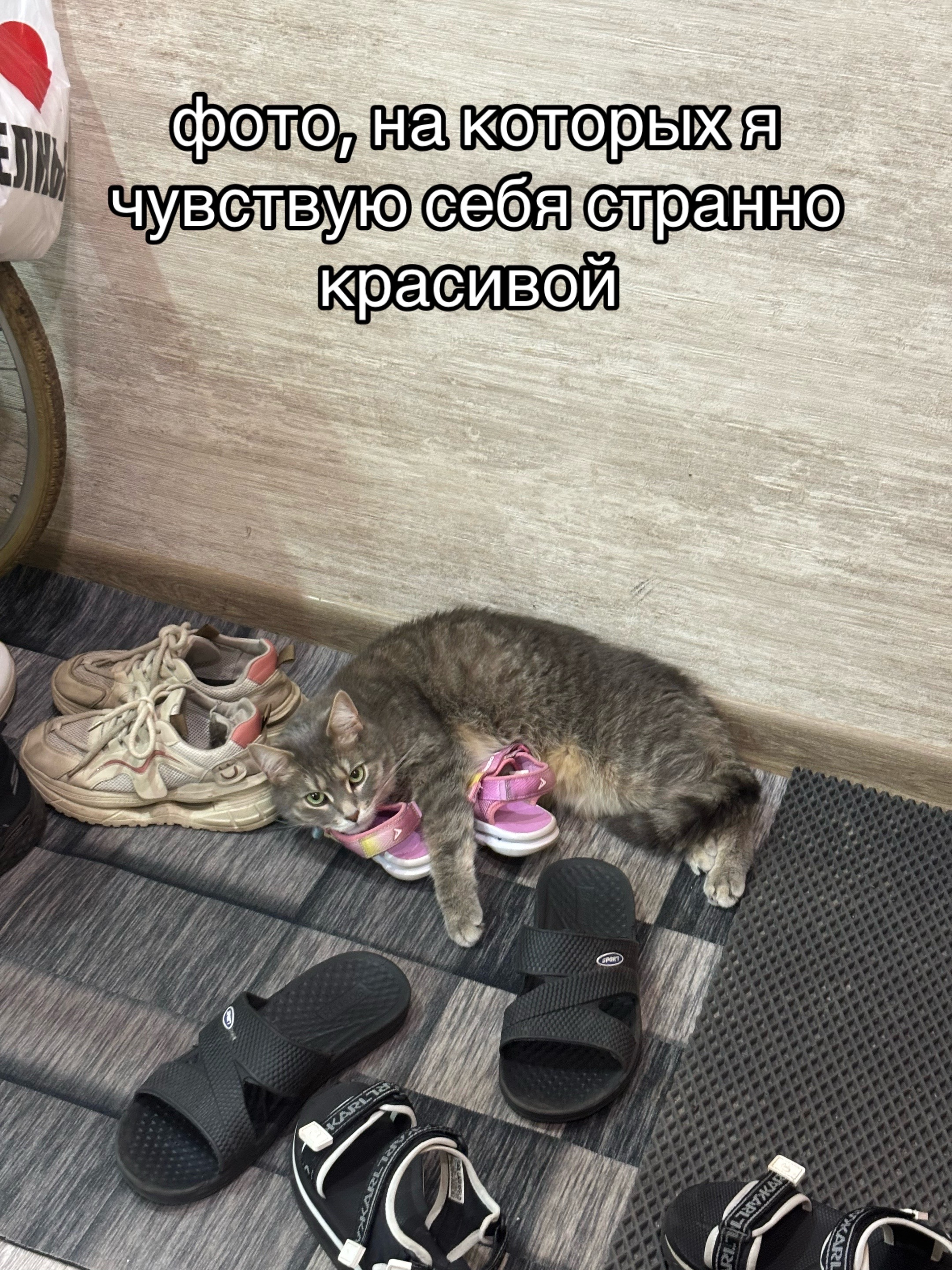 @ралинка💕