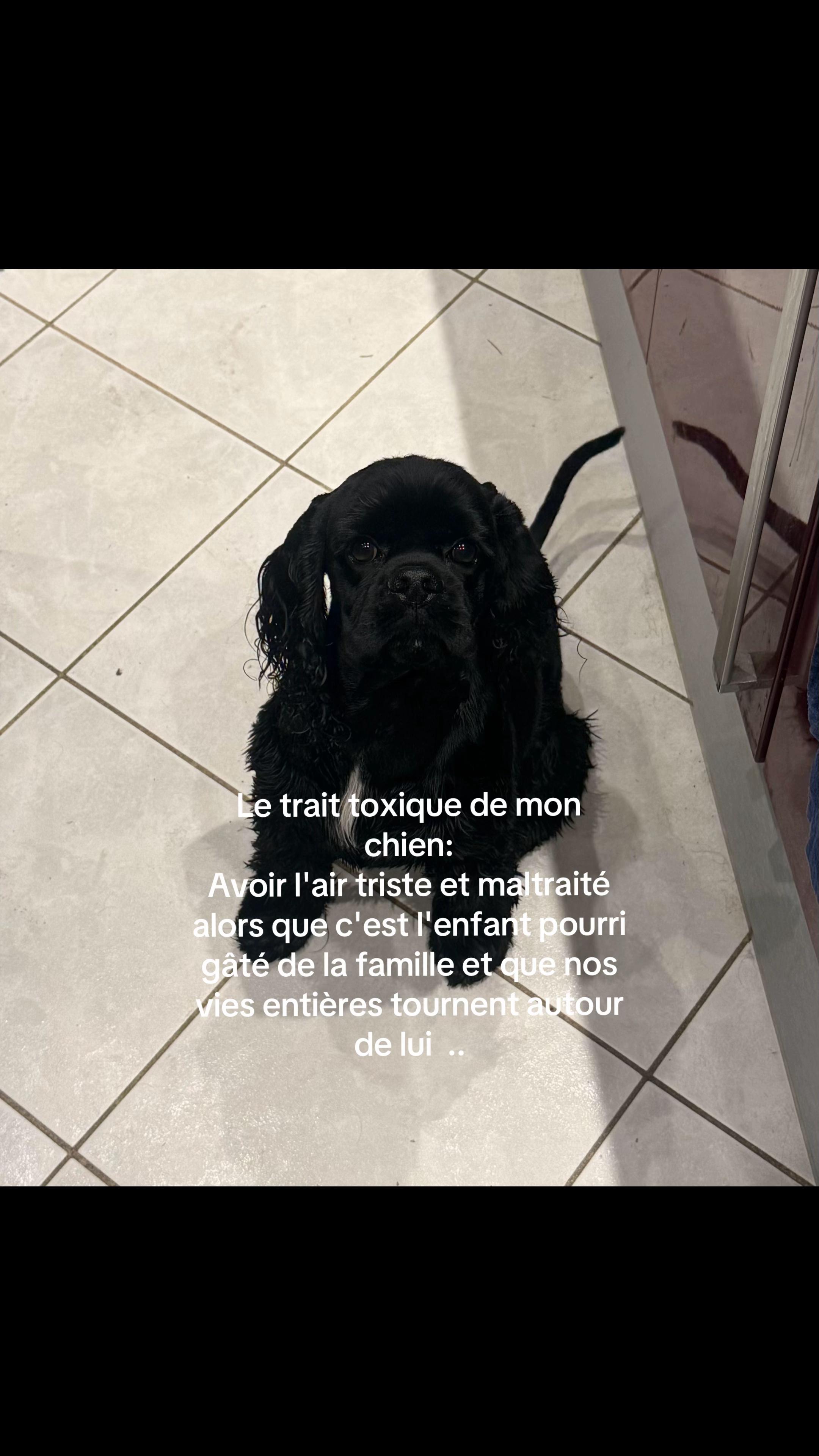 @Ornella🖤