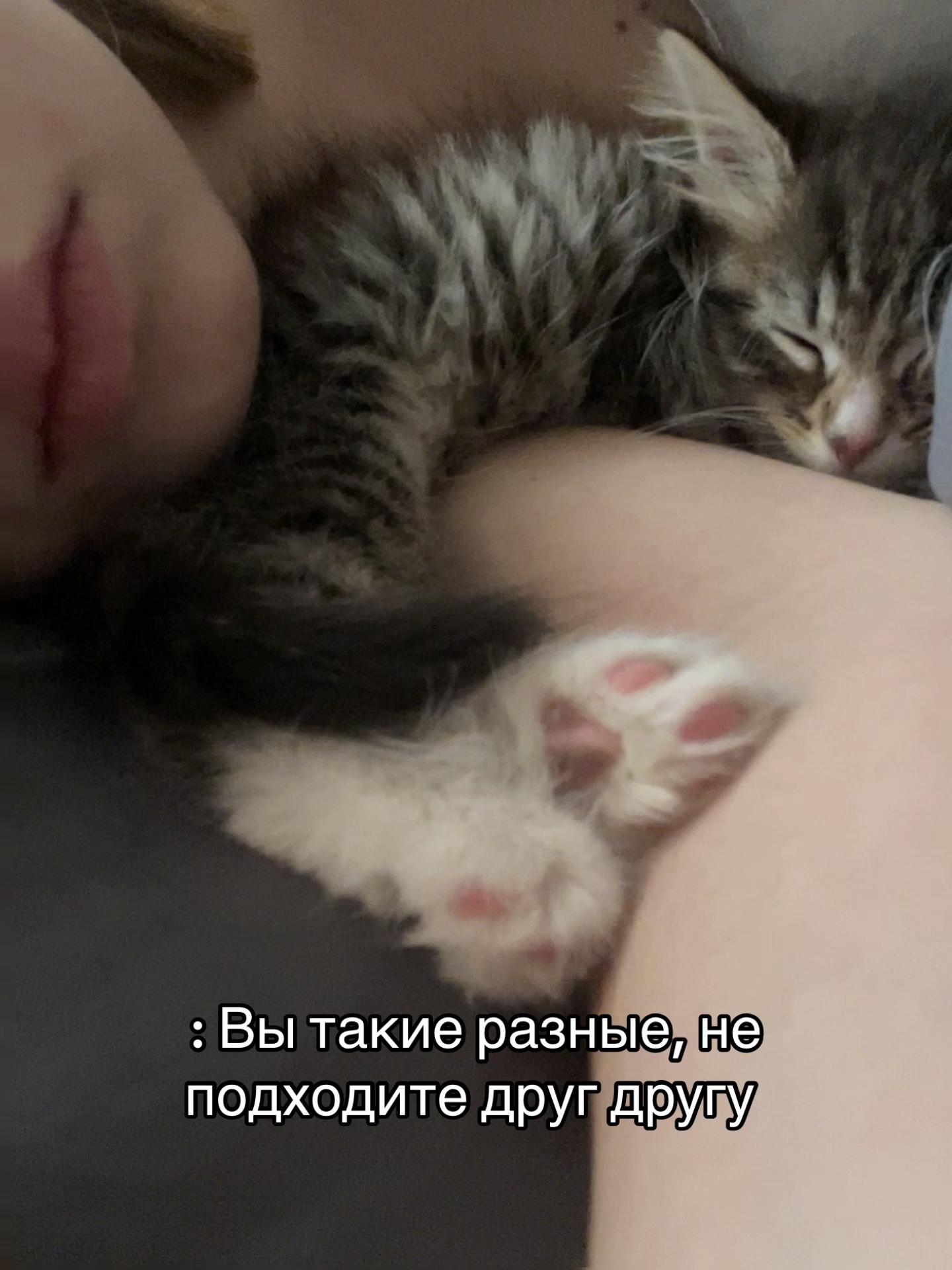 @Севка🦢