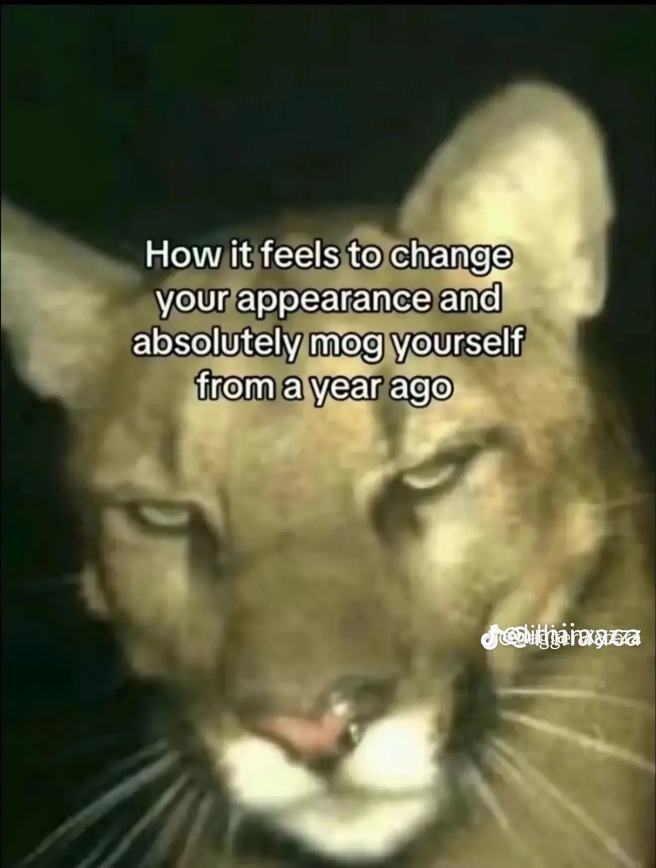 @Samanthasnugget