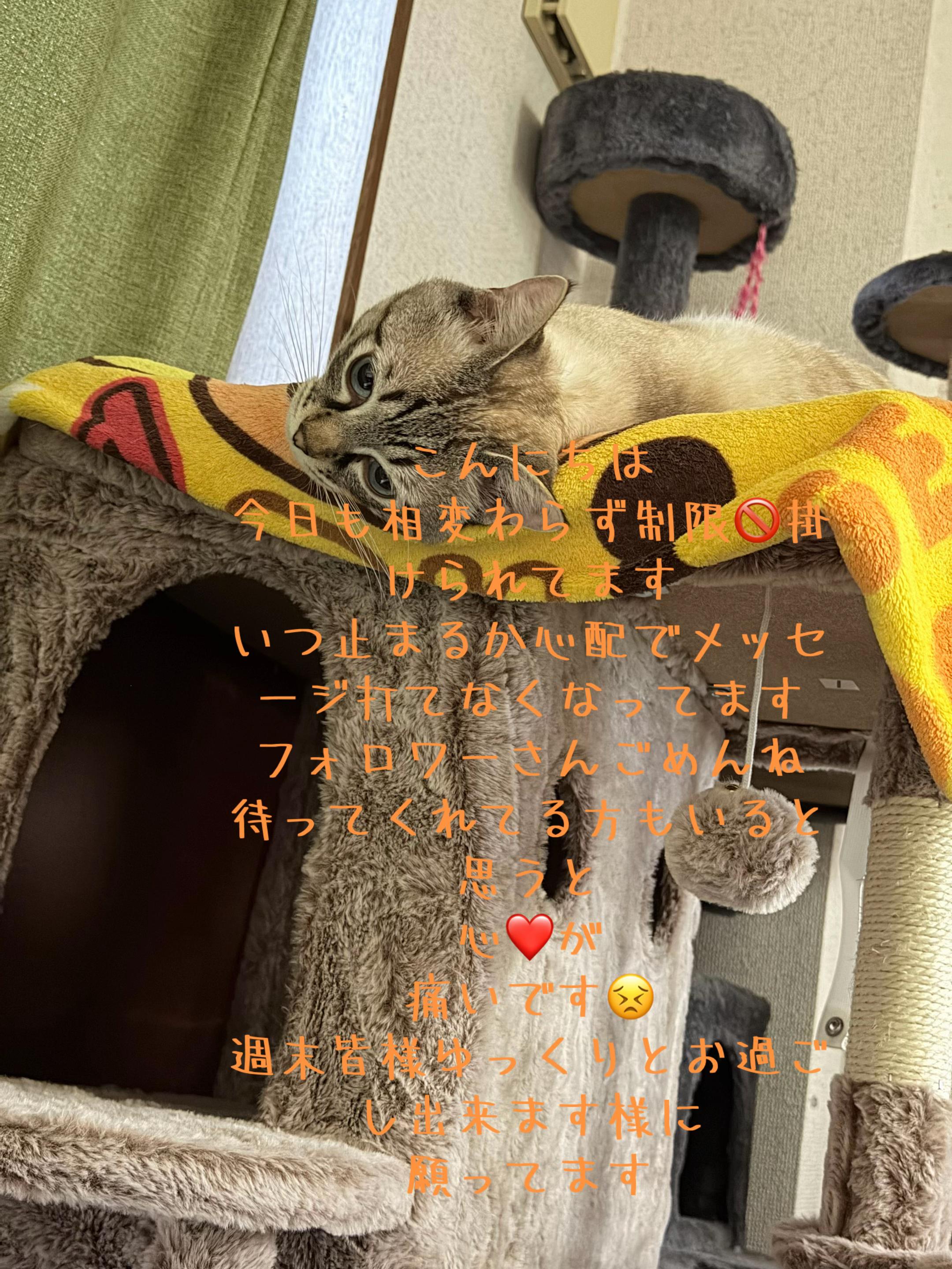 @ð¥é»æŸ€æ£å¿ð¥
