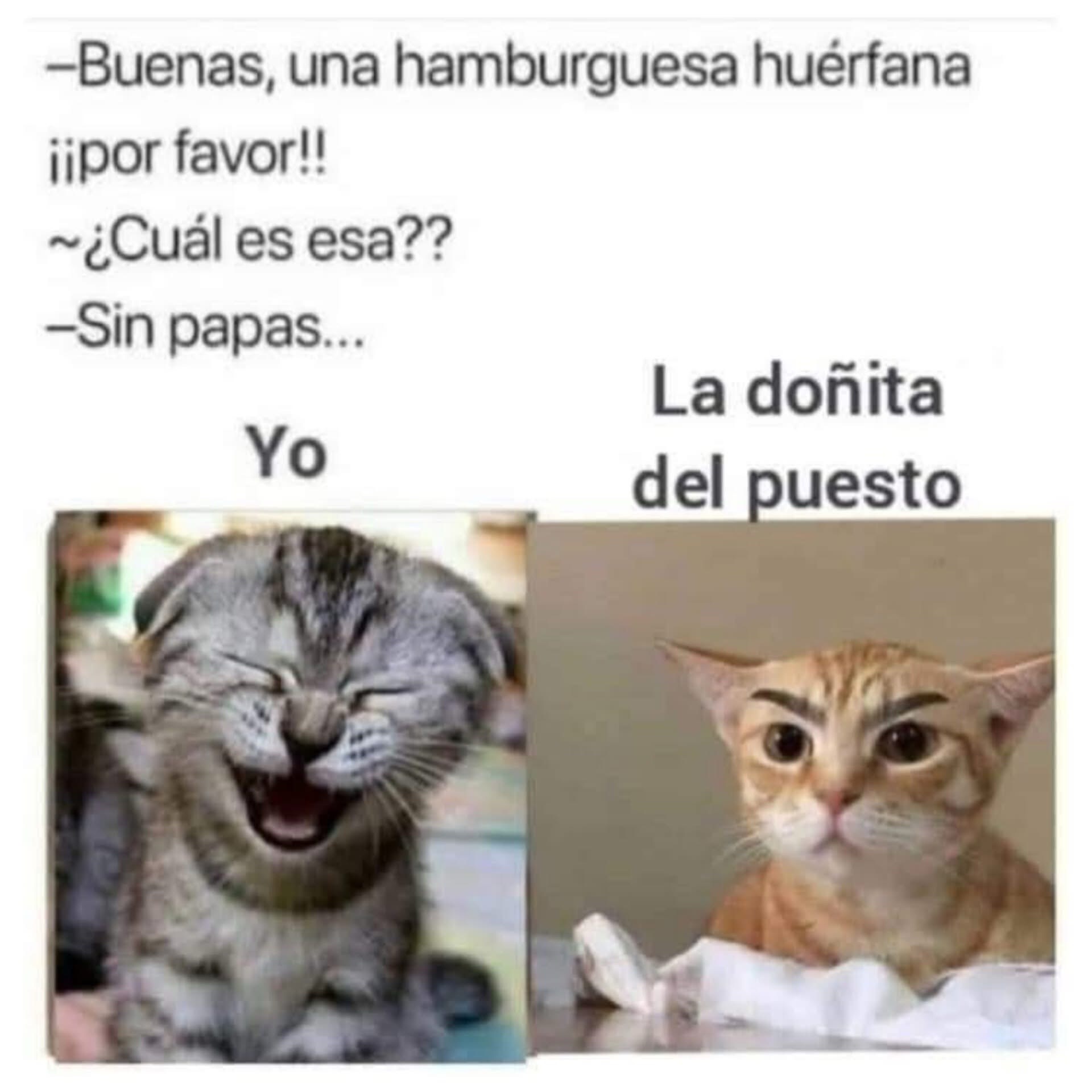 @ME787