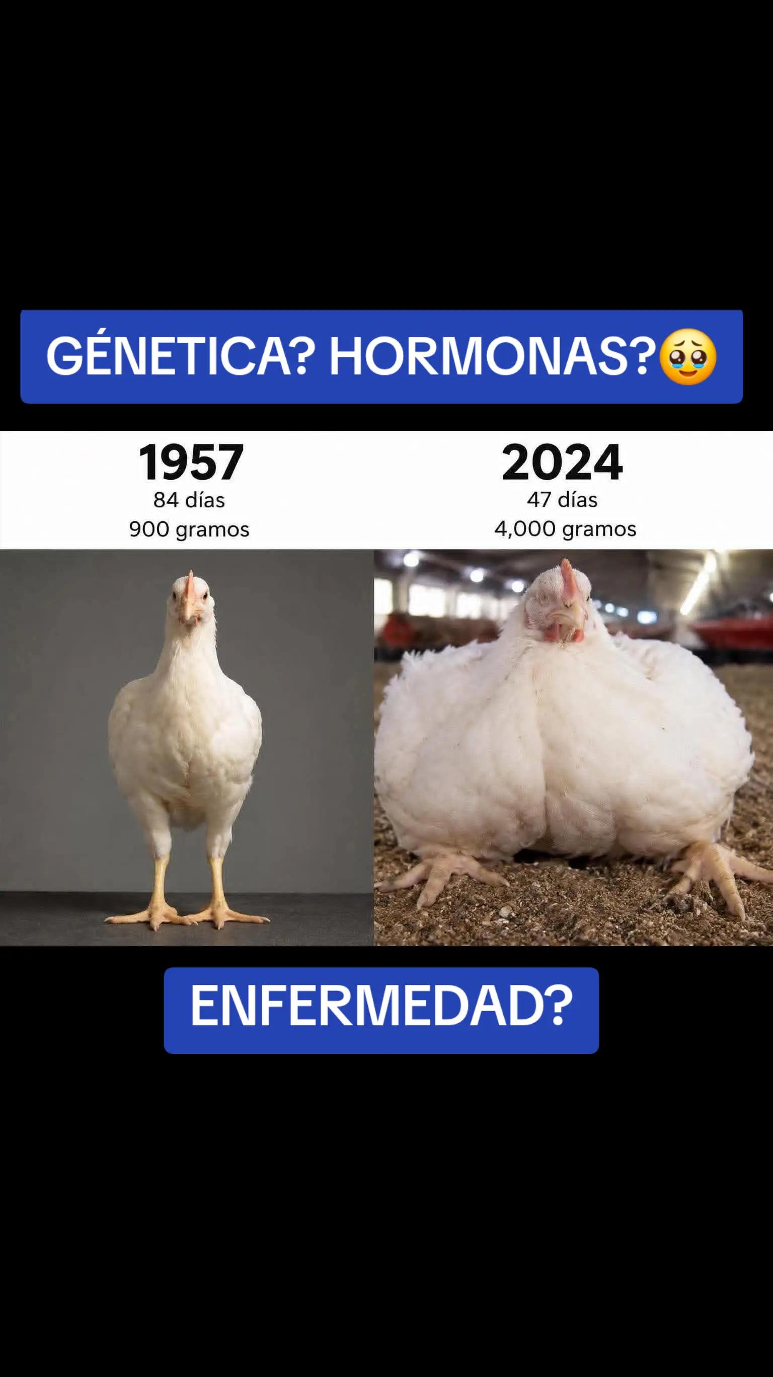 @YAWARU