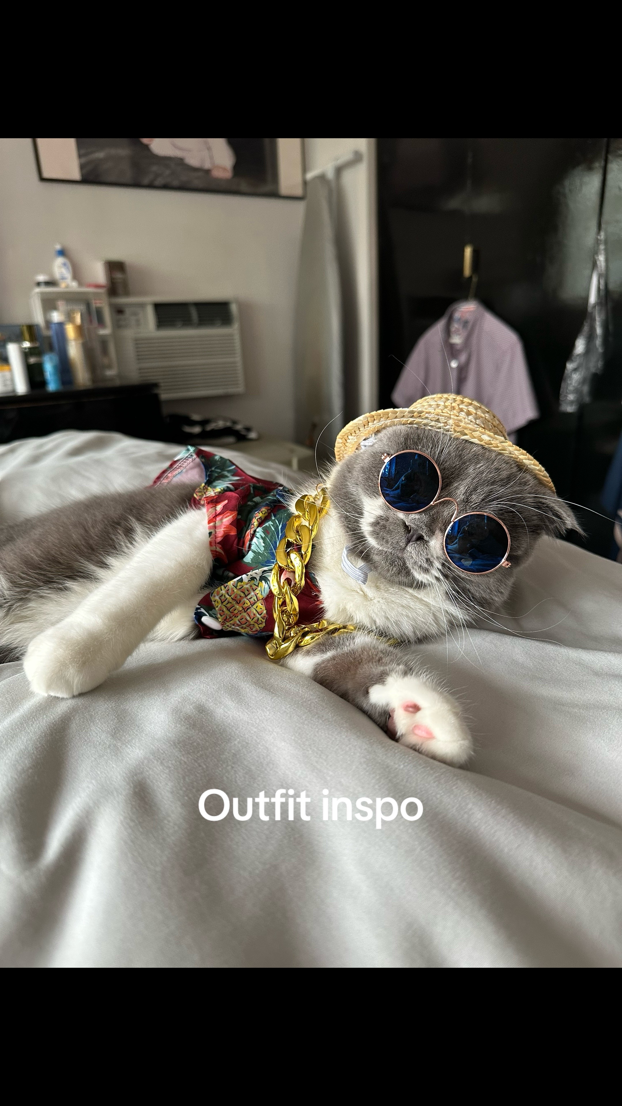 @Suki Purrs
