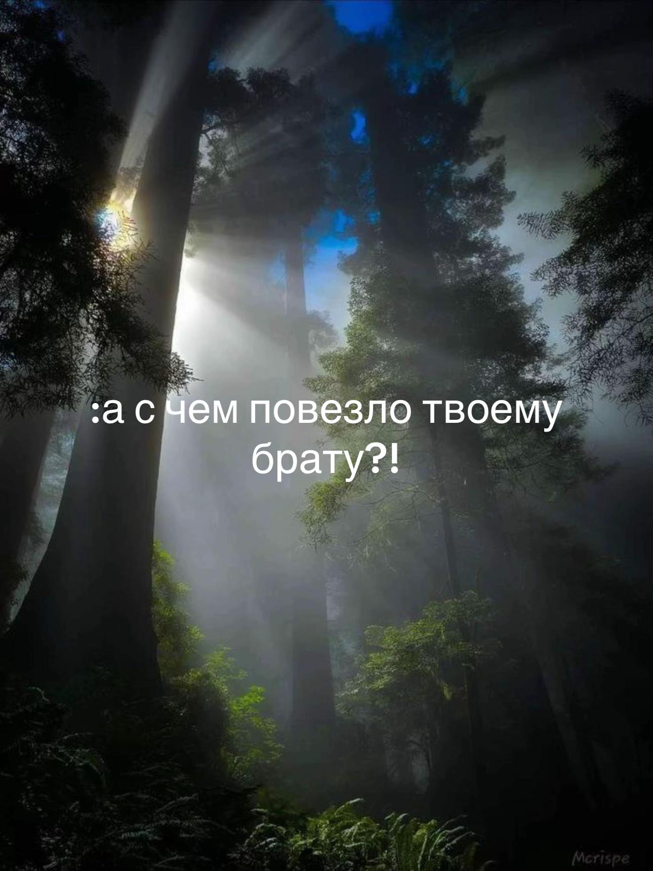 @lvk_hh00