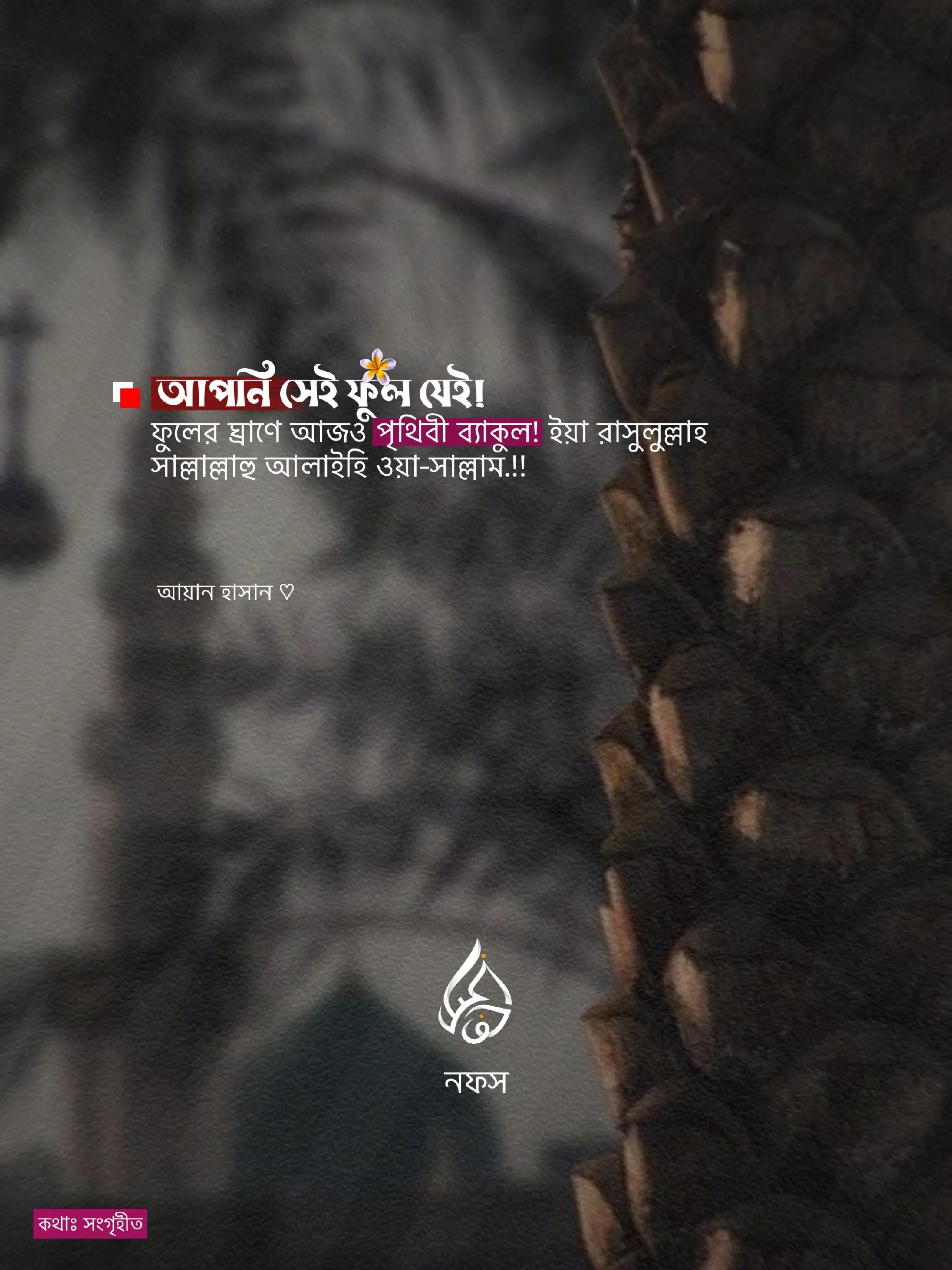 @نَفْس | 𝐍𝐨𝐟𝐬