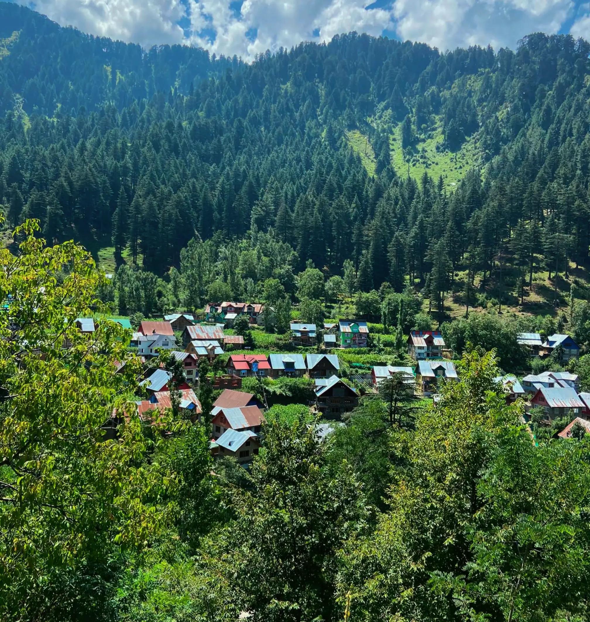 @🍁 amjad Kashmiri 🍁