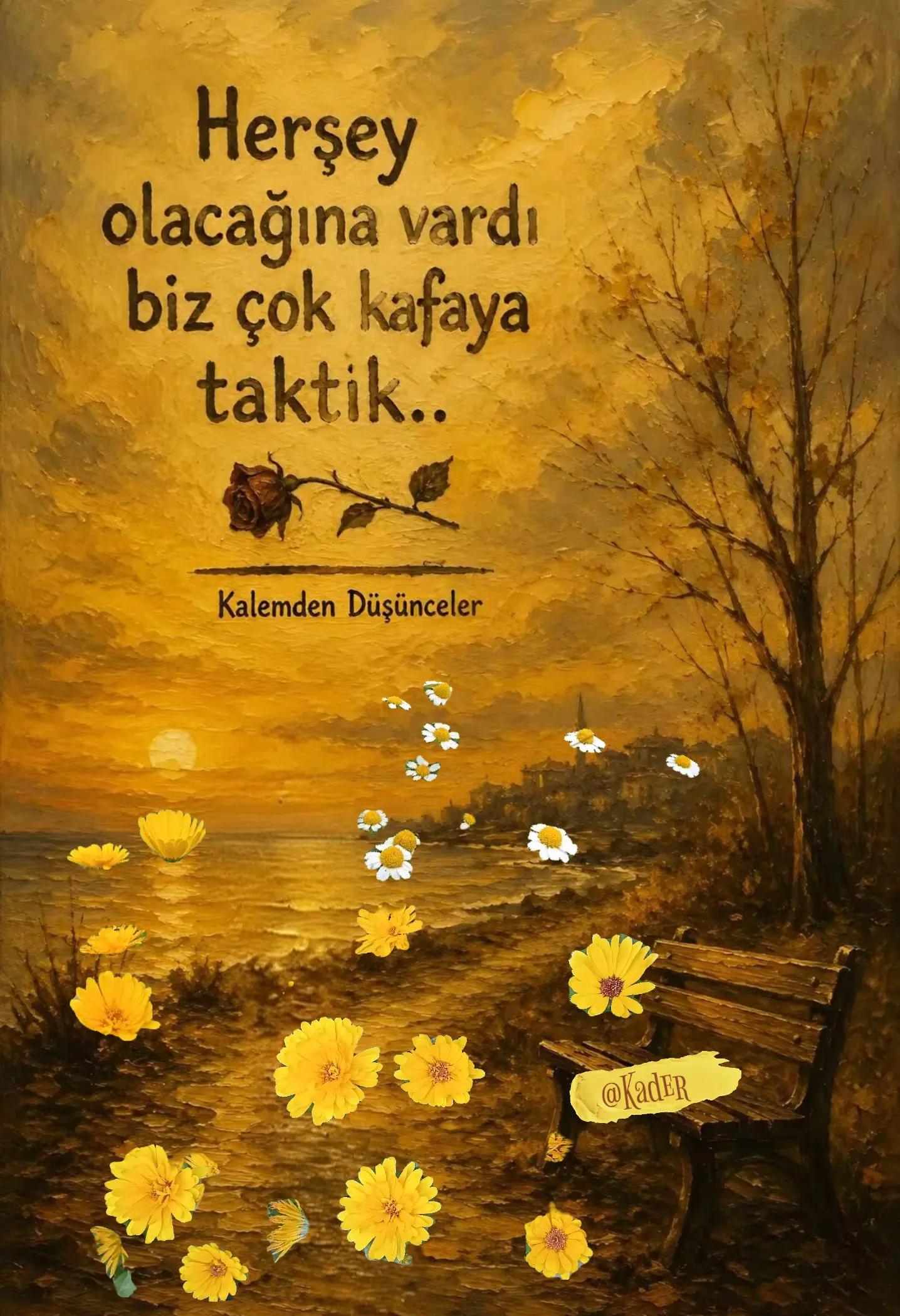 @❤️*ELİF~♾️~KADER*❤️