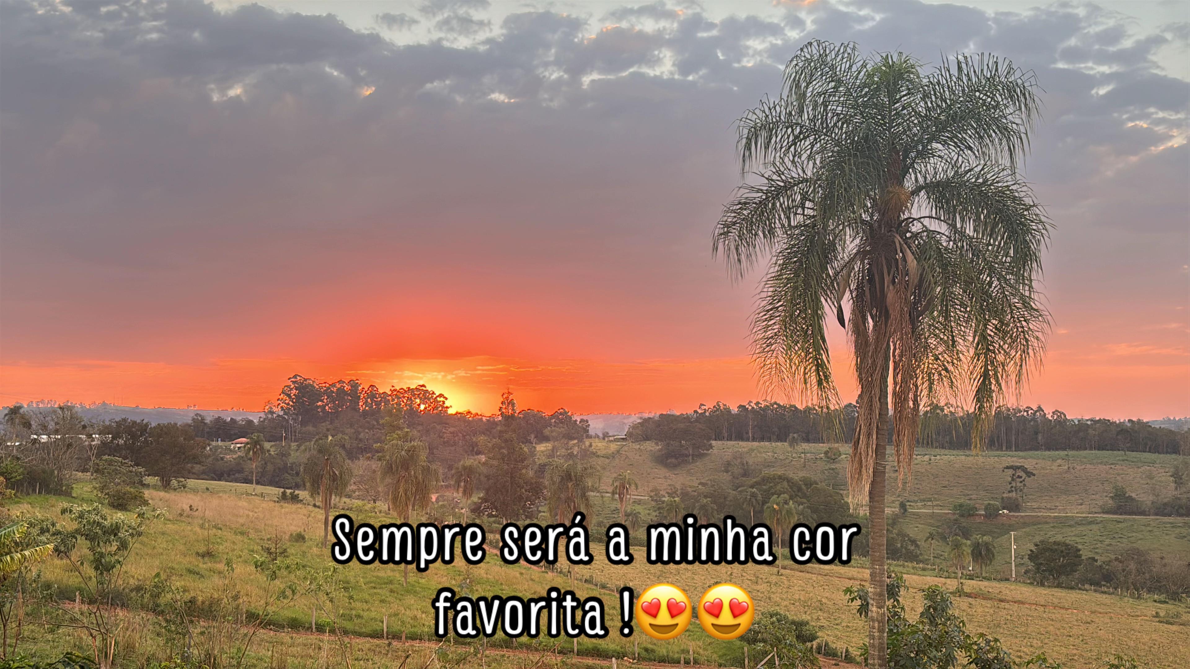 @Adriele Caldeira