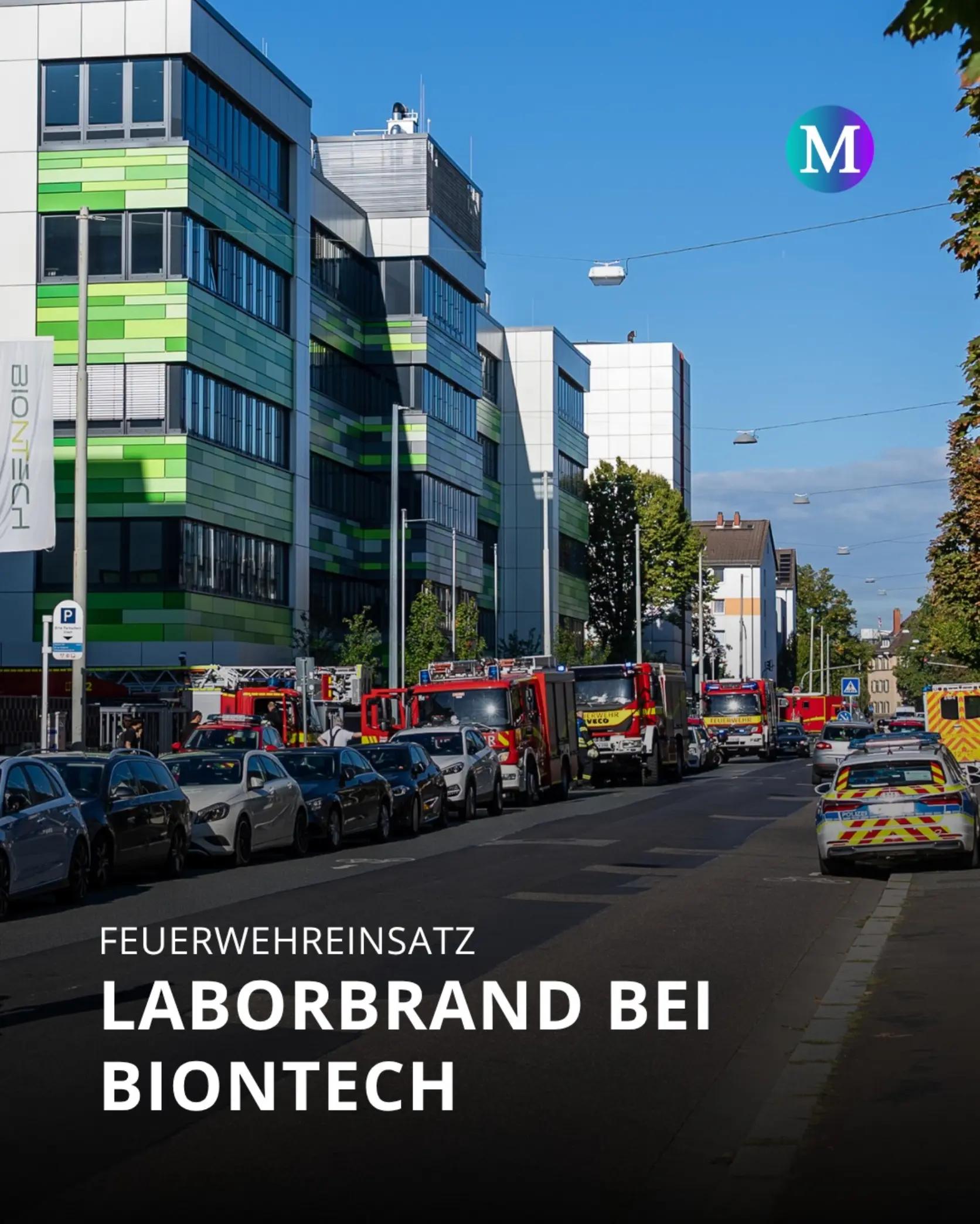 @Merkurist Mainz