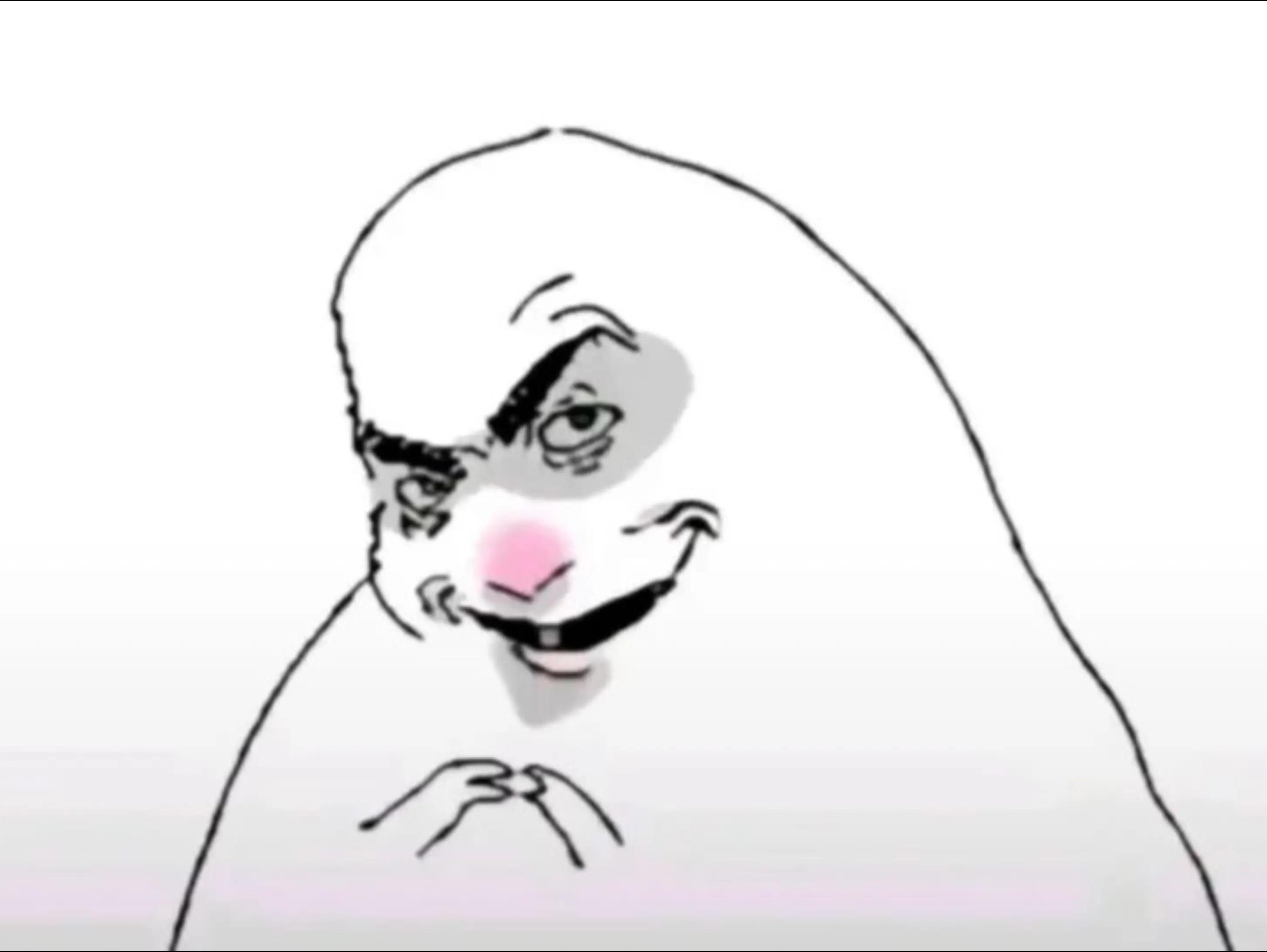 @*+:。.。Мото Джуди。.。:+*