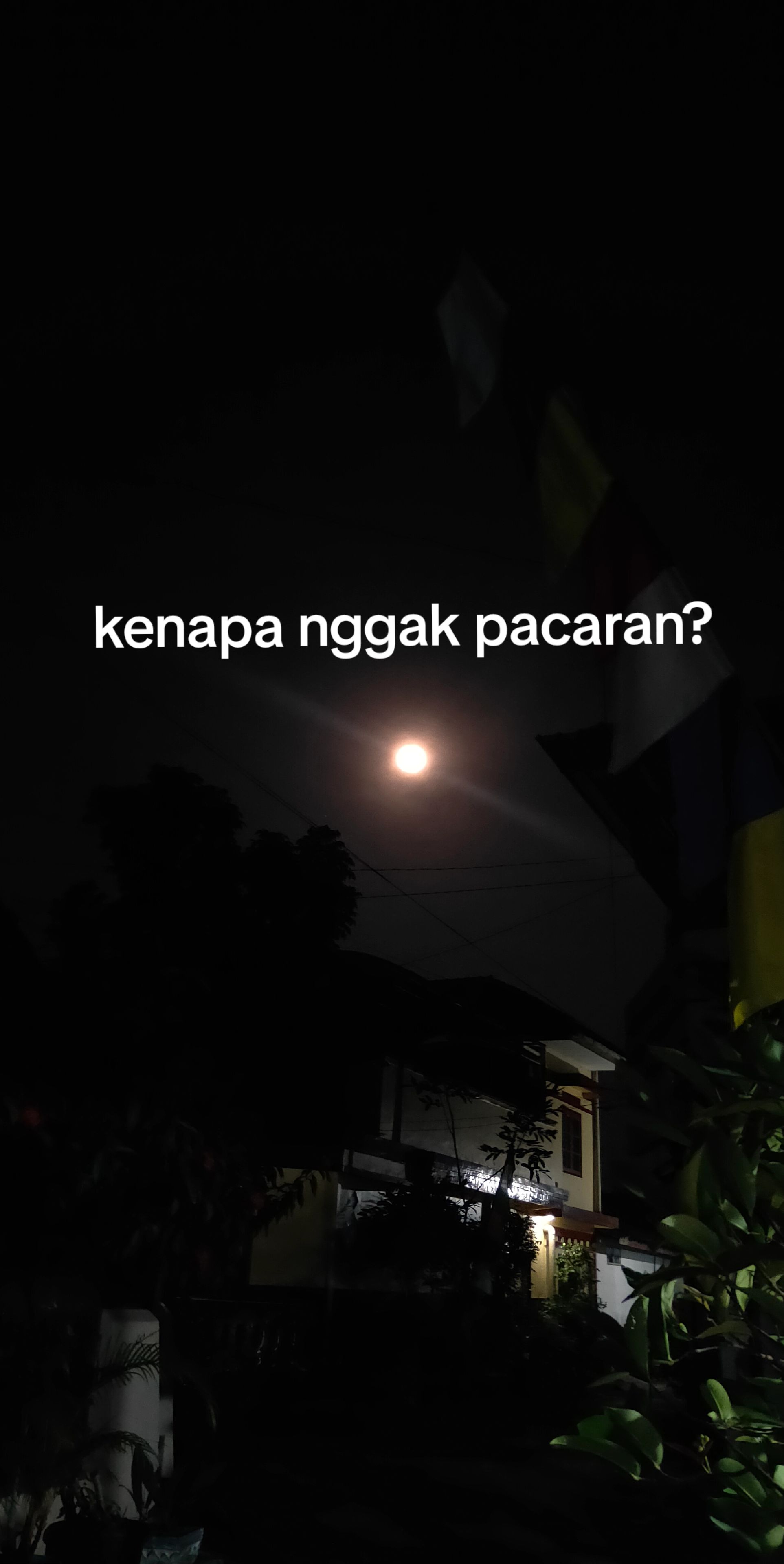 @genduleday6