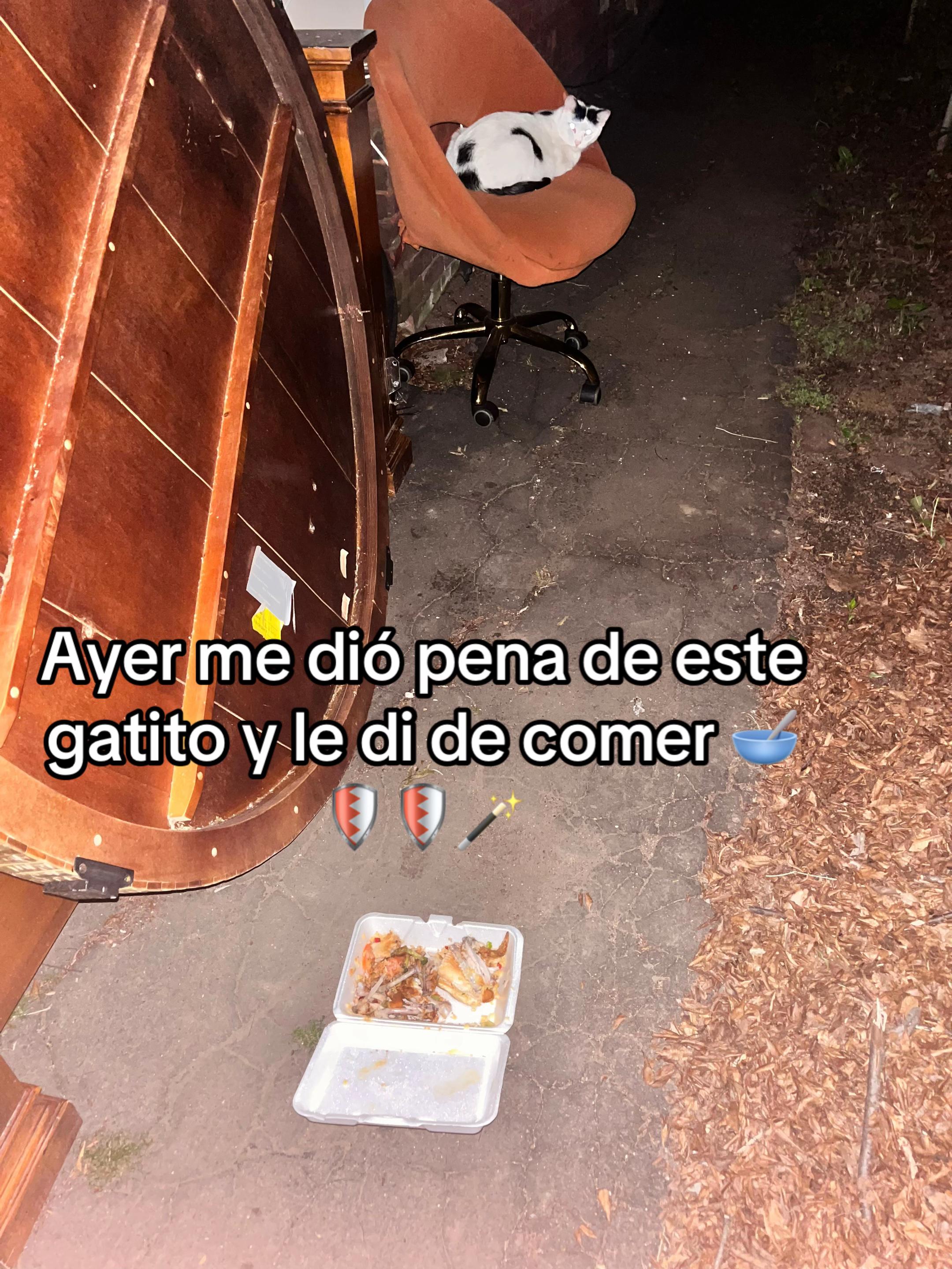 @𝐶𝑒𝑠𝑎𝑟 𝐺𝑎𝑣𝑖𝑙𝑎𝑛𝑒s