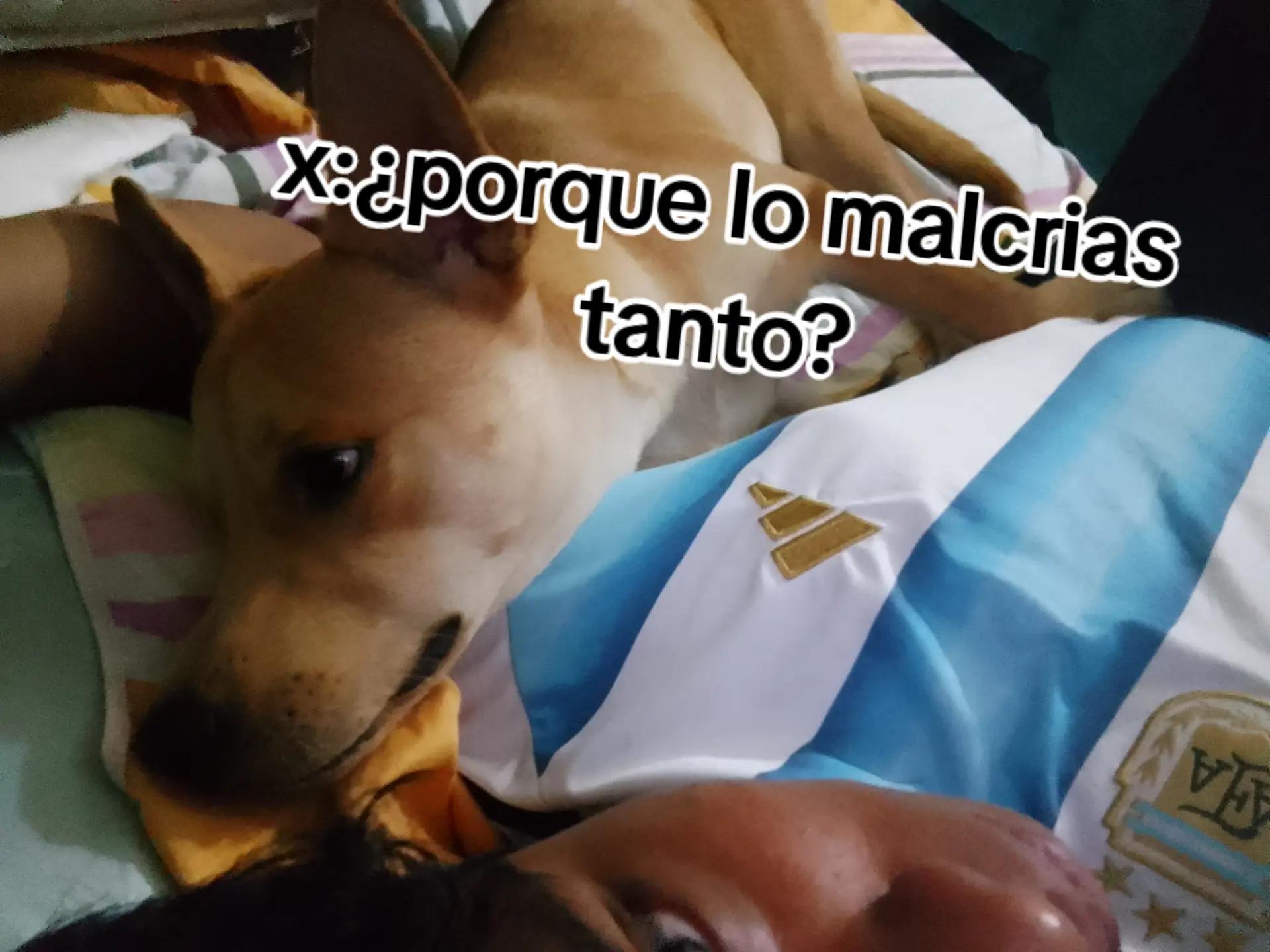 @alberto Ag