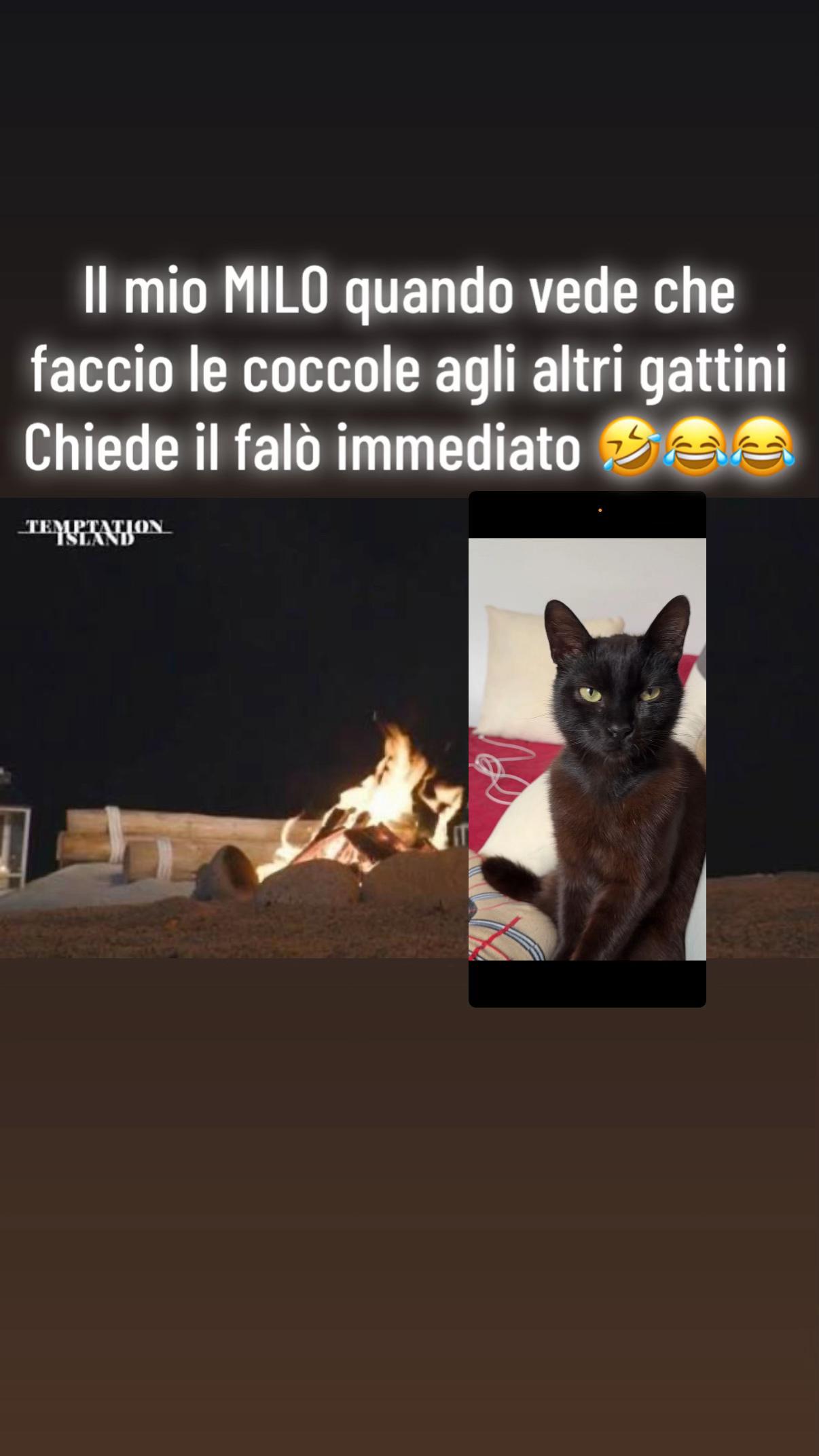 @il_cavaliere_oscuro3