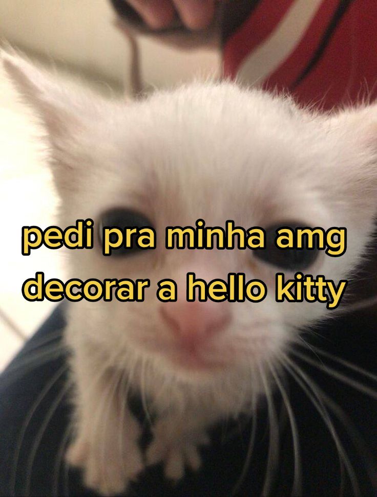 @musıc 🪳