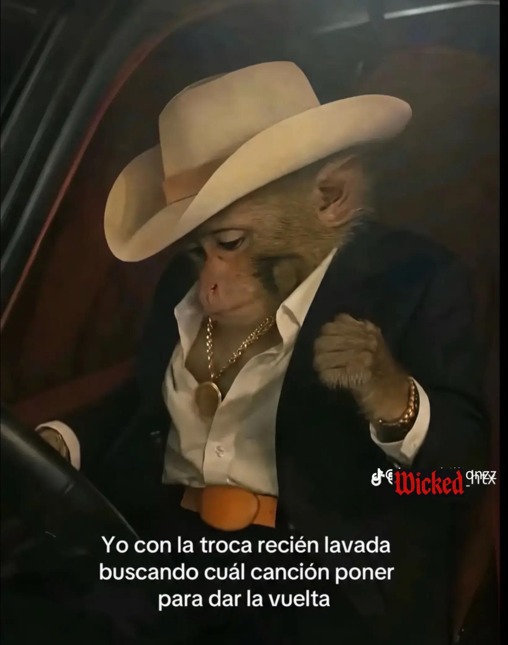 @Guero_Reyna🔷️◾️
