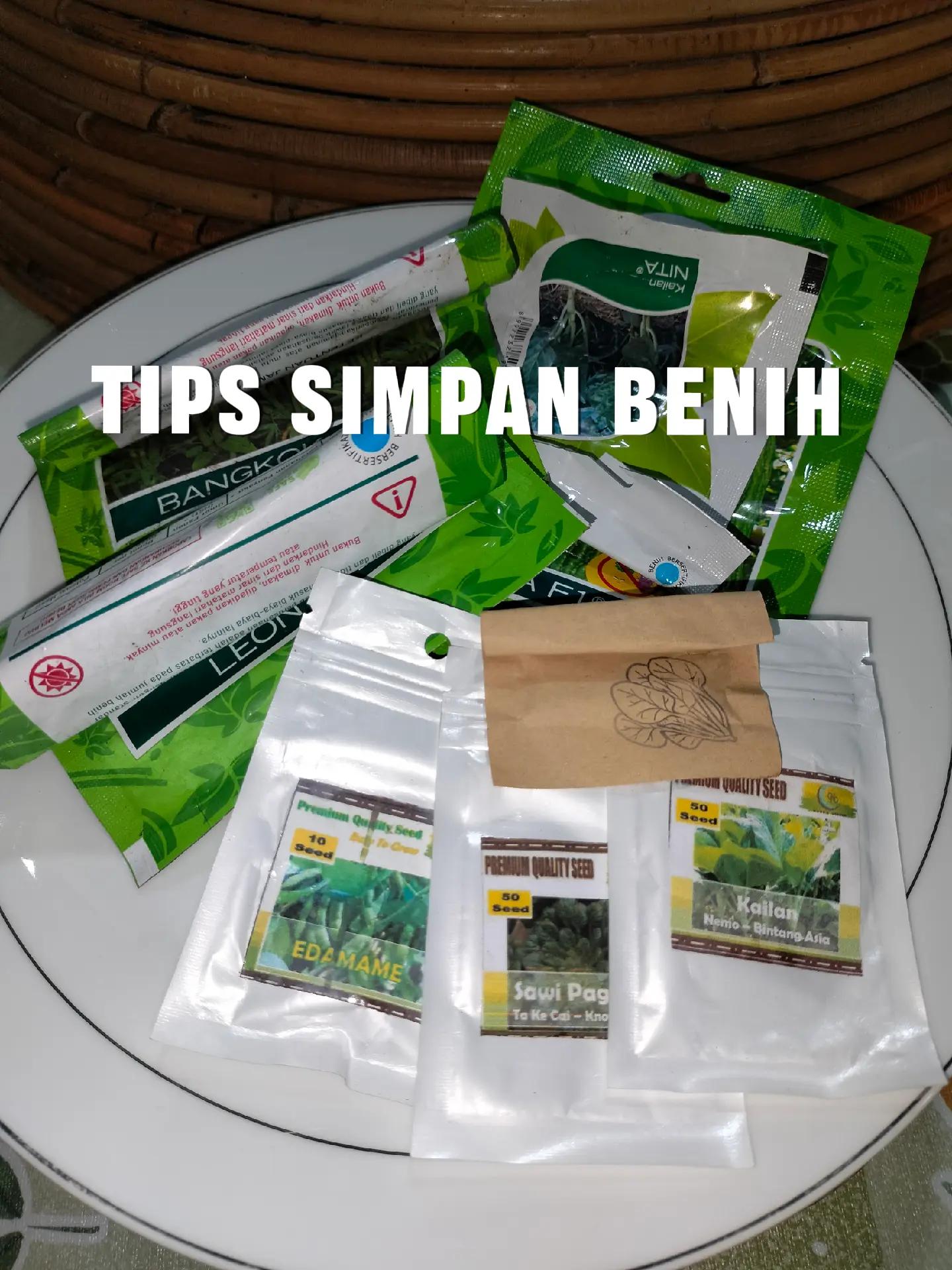 @mahmudah.garden