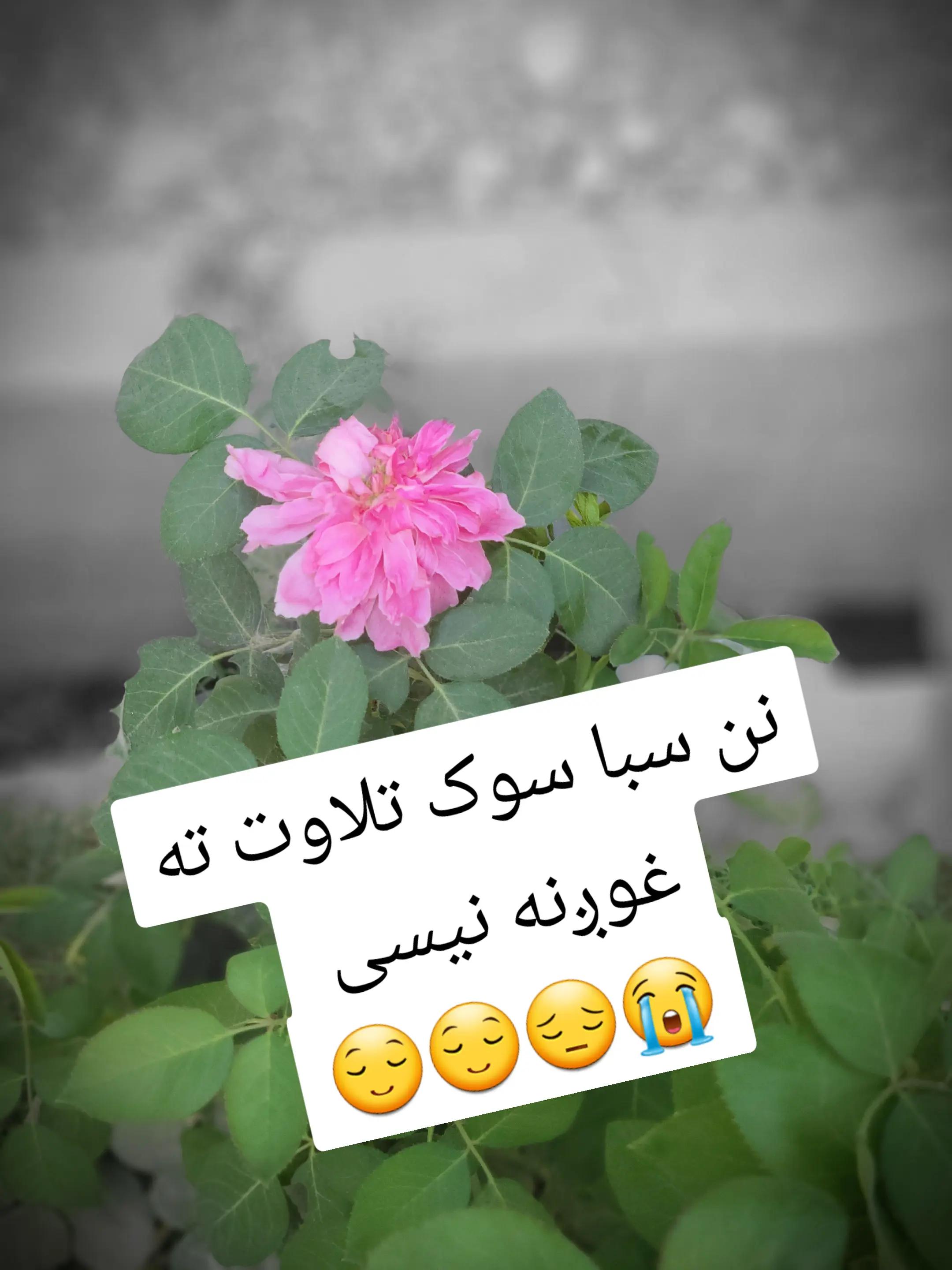 @اللهﷻ💔💗