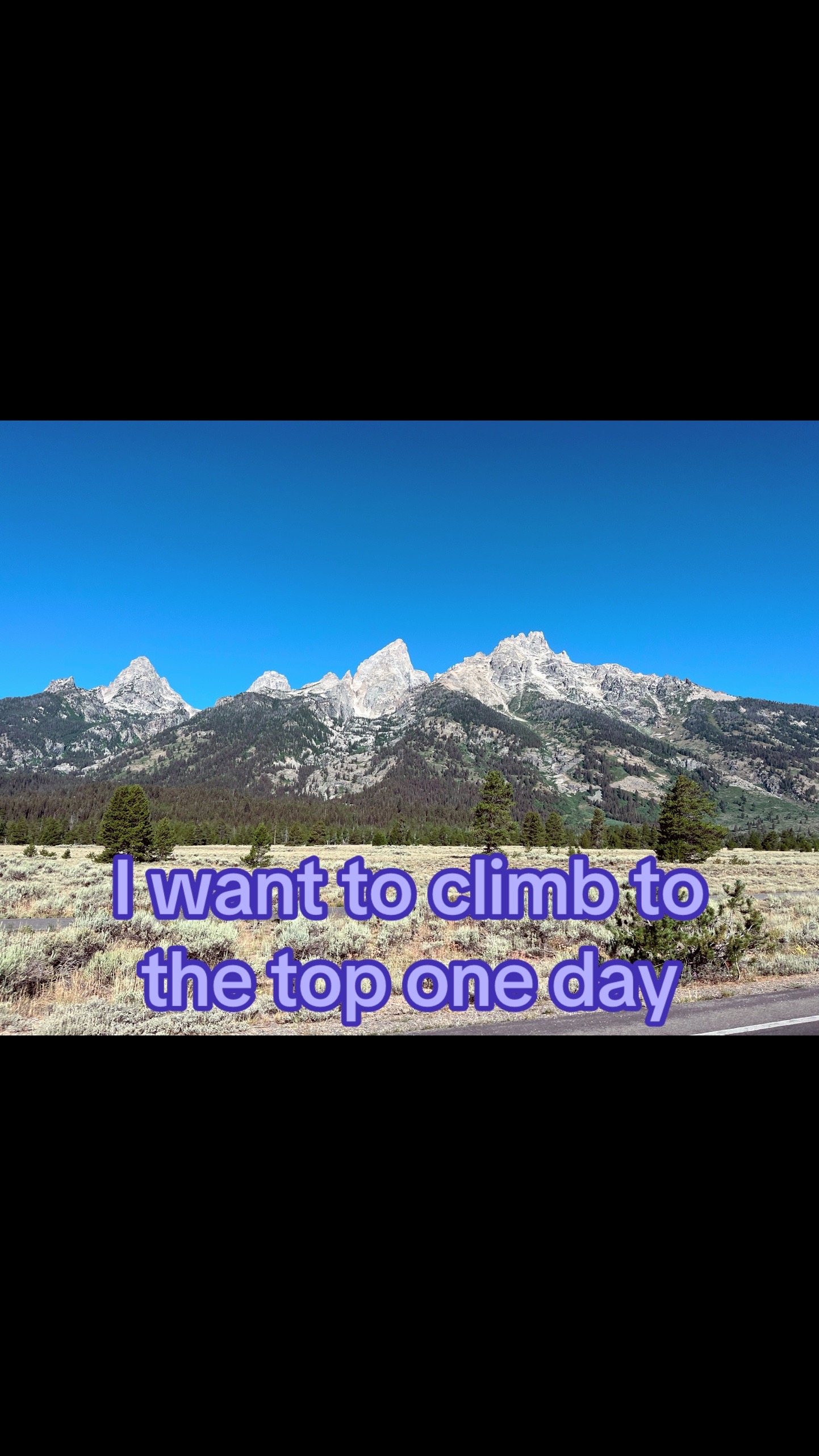 @Chasey Campbell 🏔️🕷️🐾
