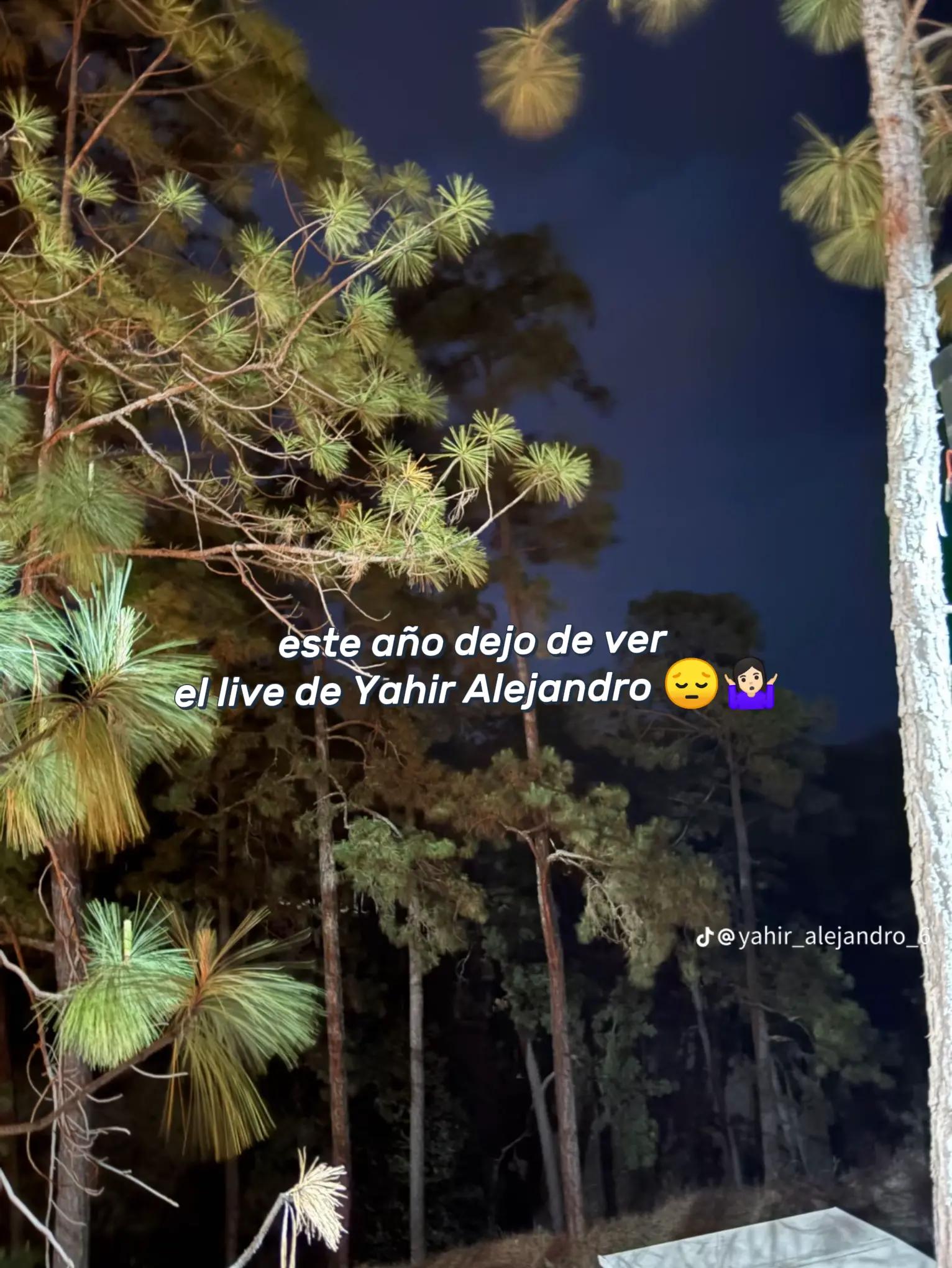 @yahiralejandro208