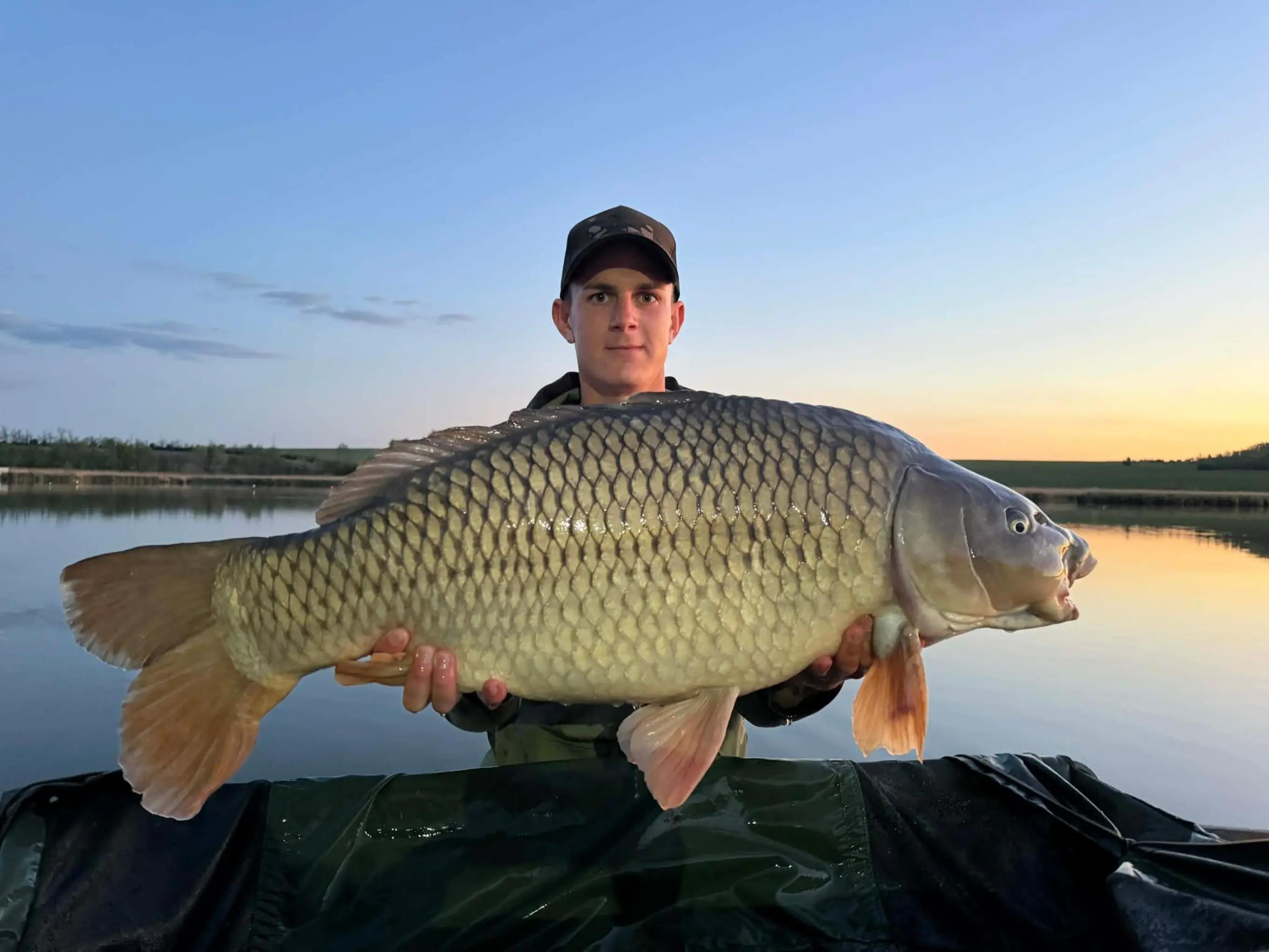 @Bait Bait Germany