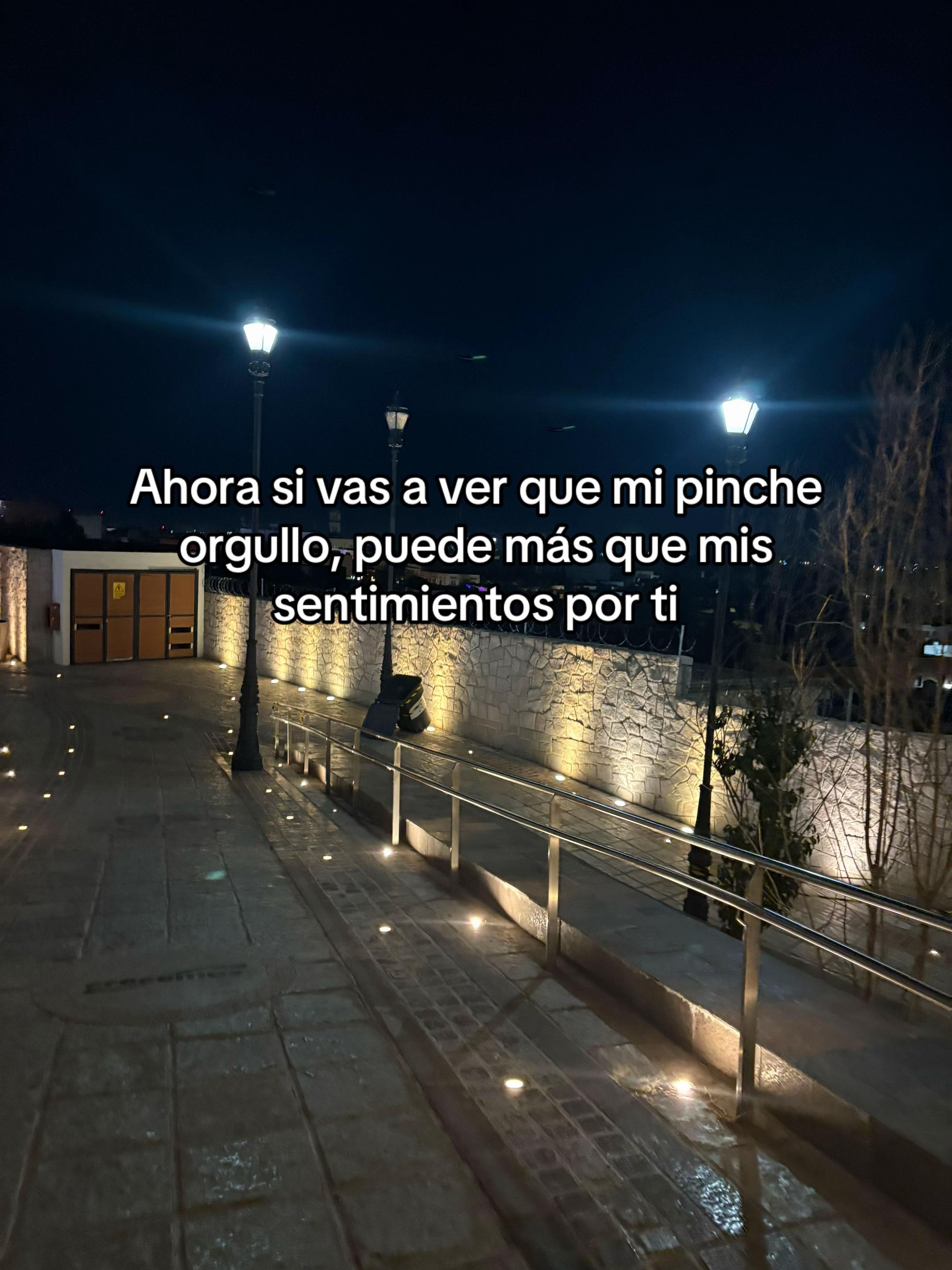 @ale_vazquez