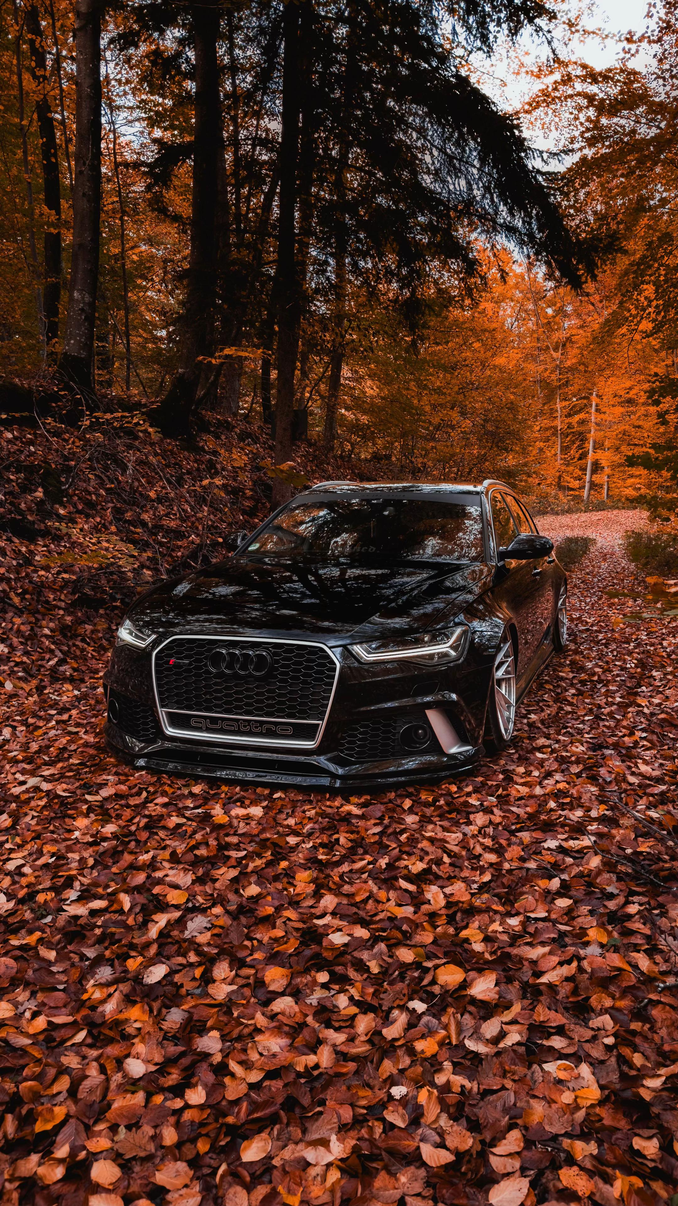 @rs6_beast