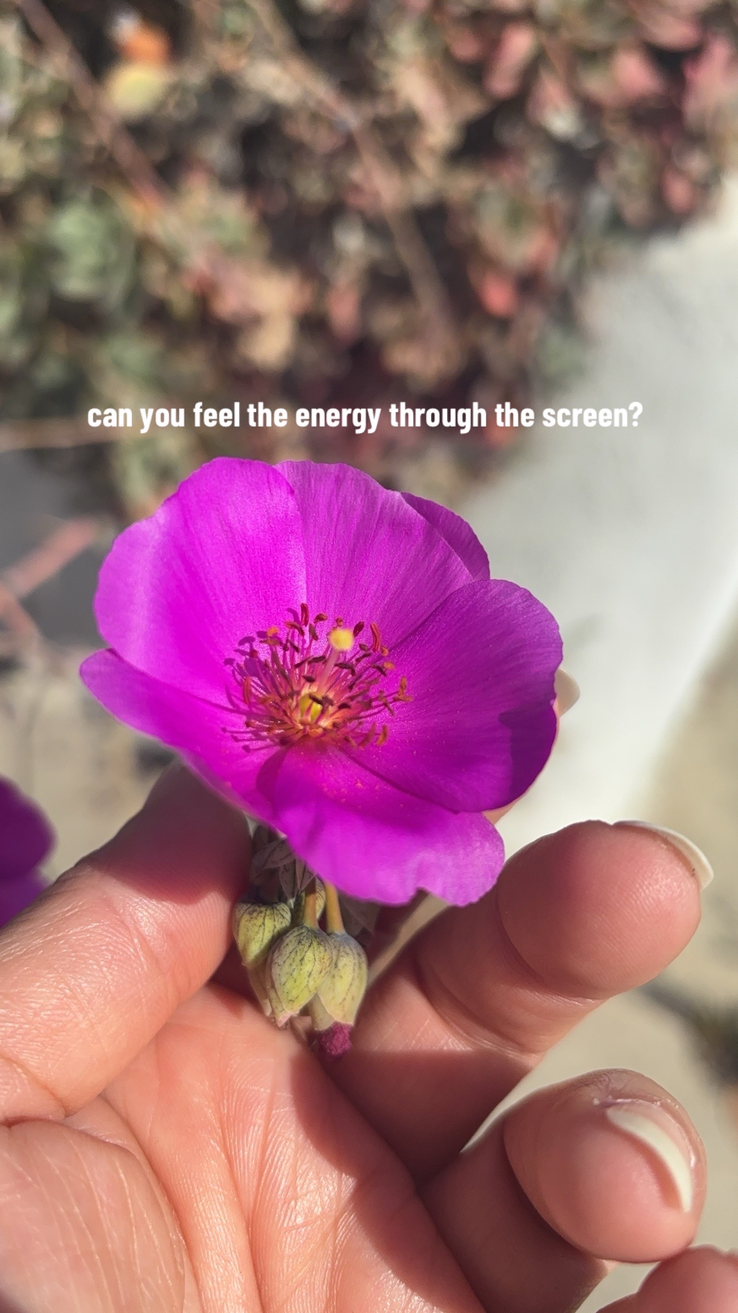 @𝗠𝗜𝗖𝗛𝗘𝗟𝗟𝗘
