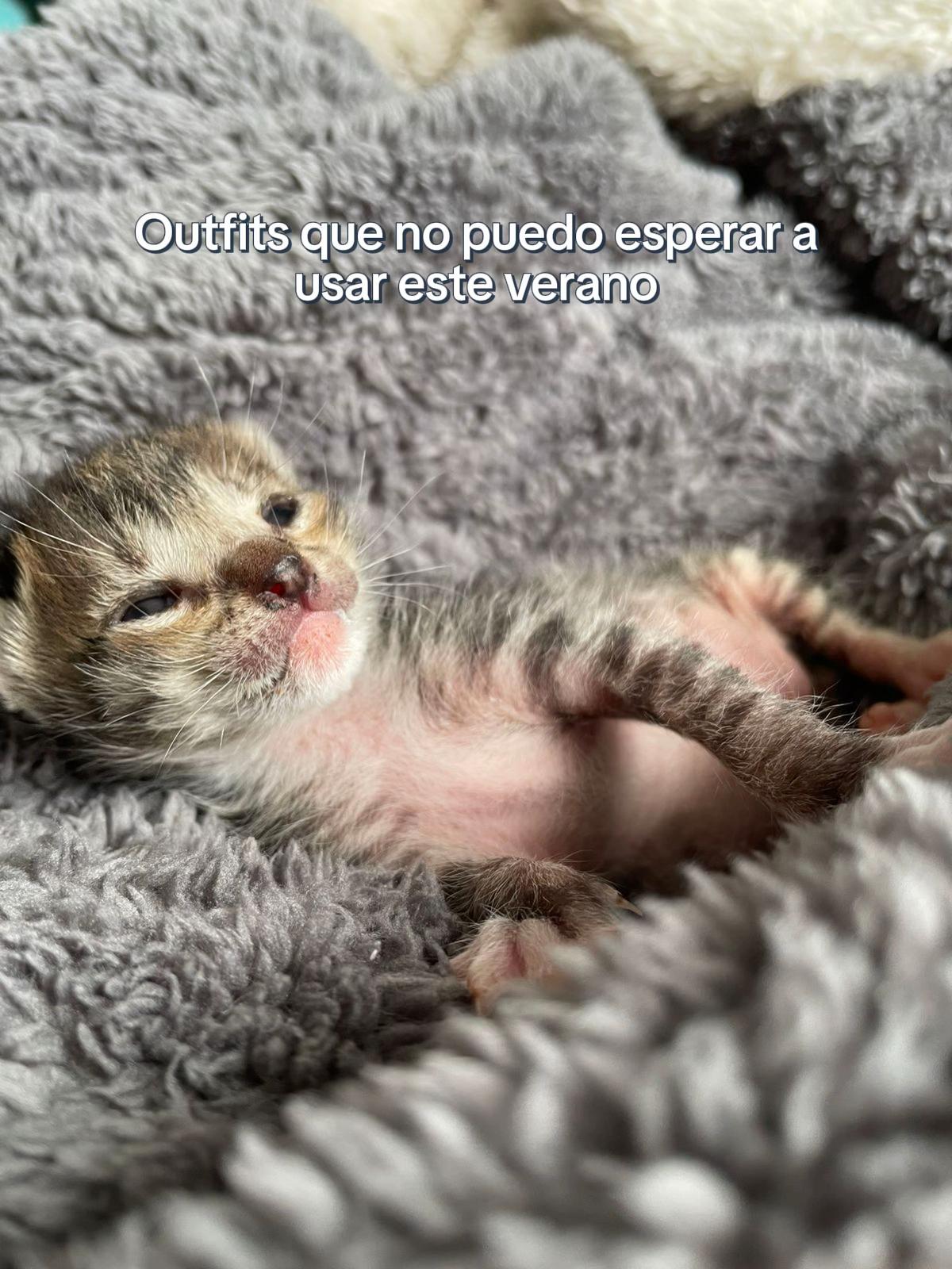 @Rayito y negrita
