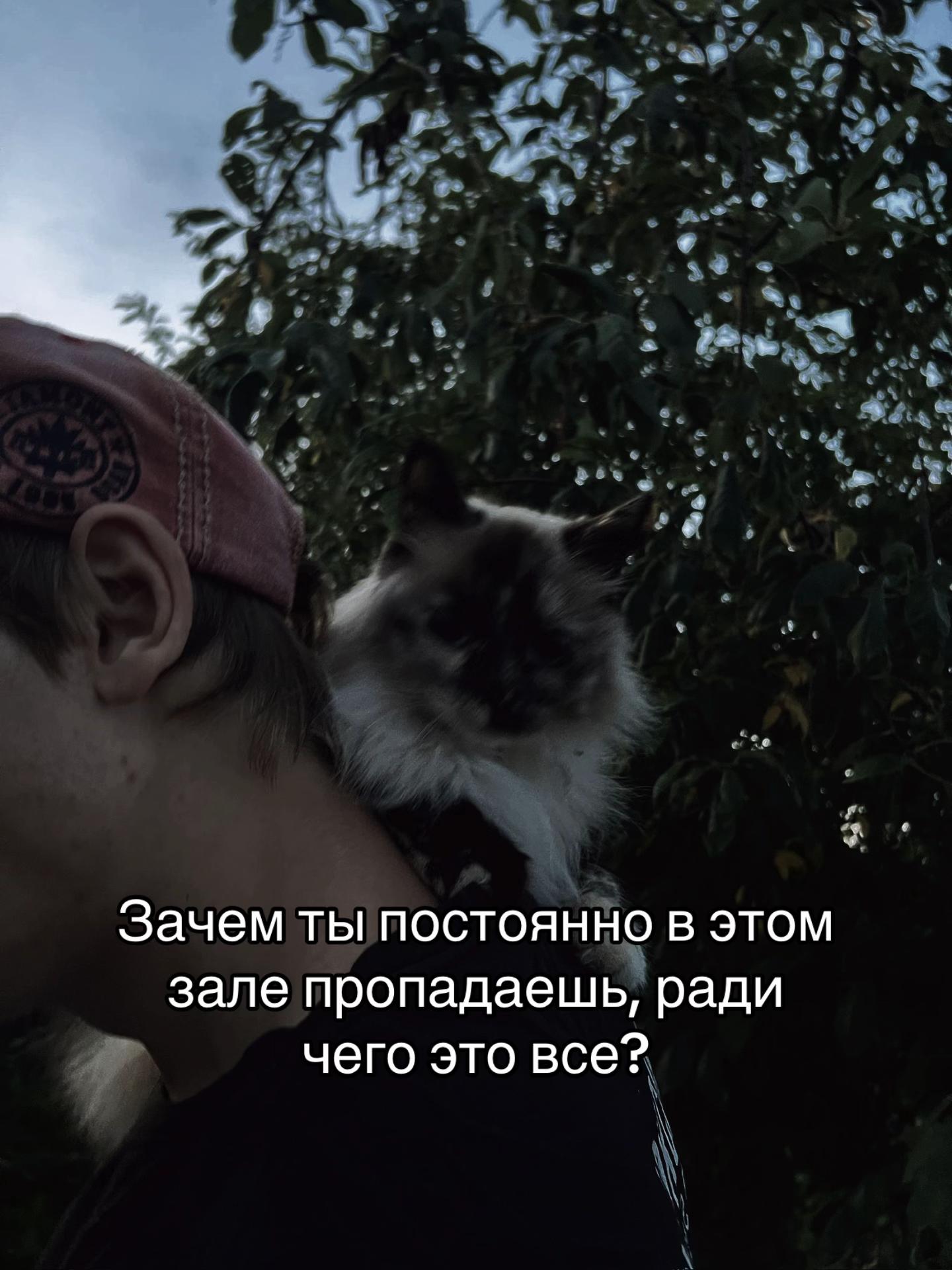 @лсый трцпс