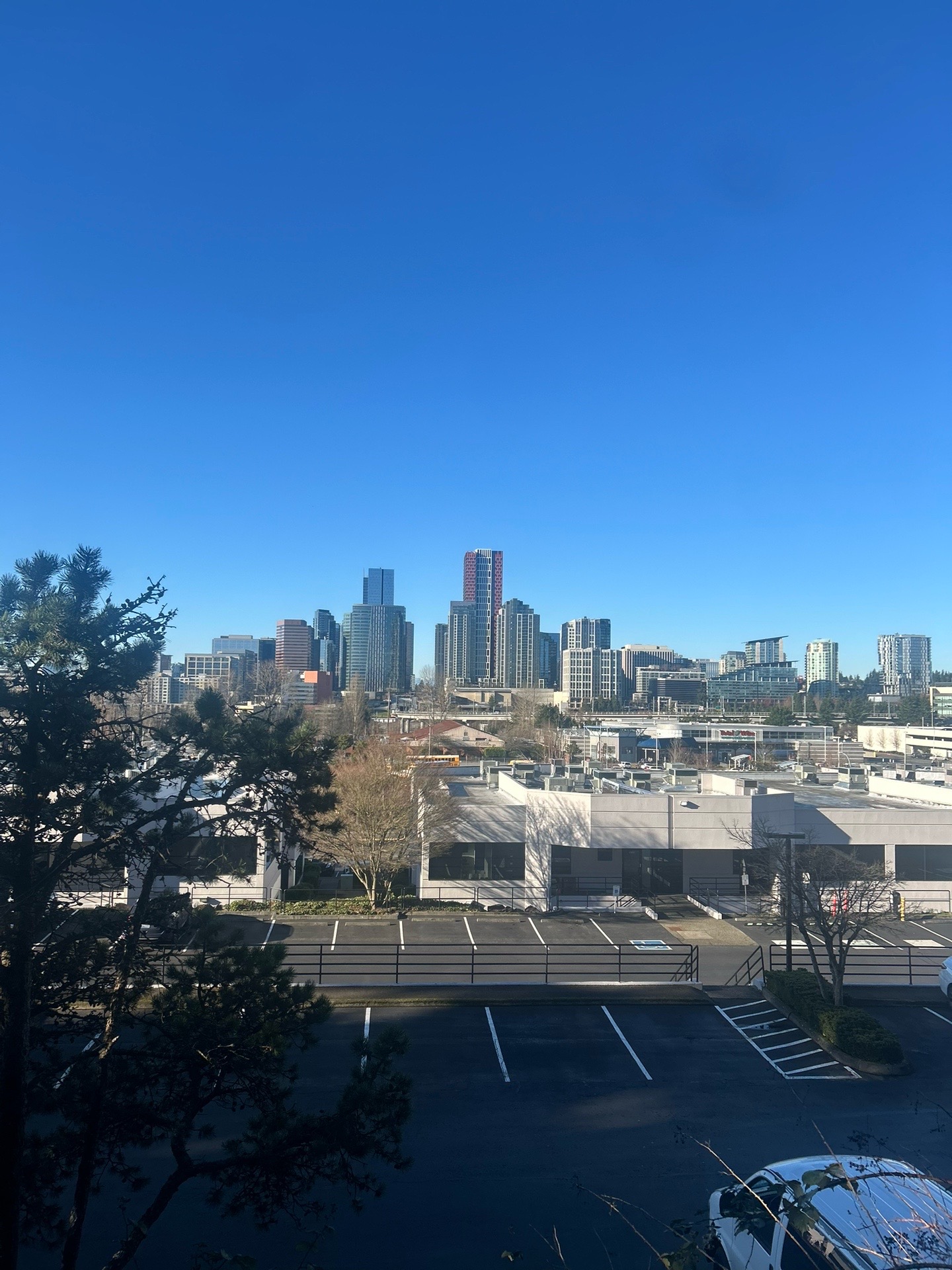 @🥥CoconutClimber🥥