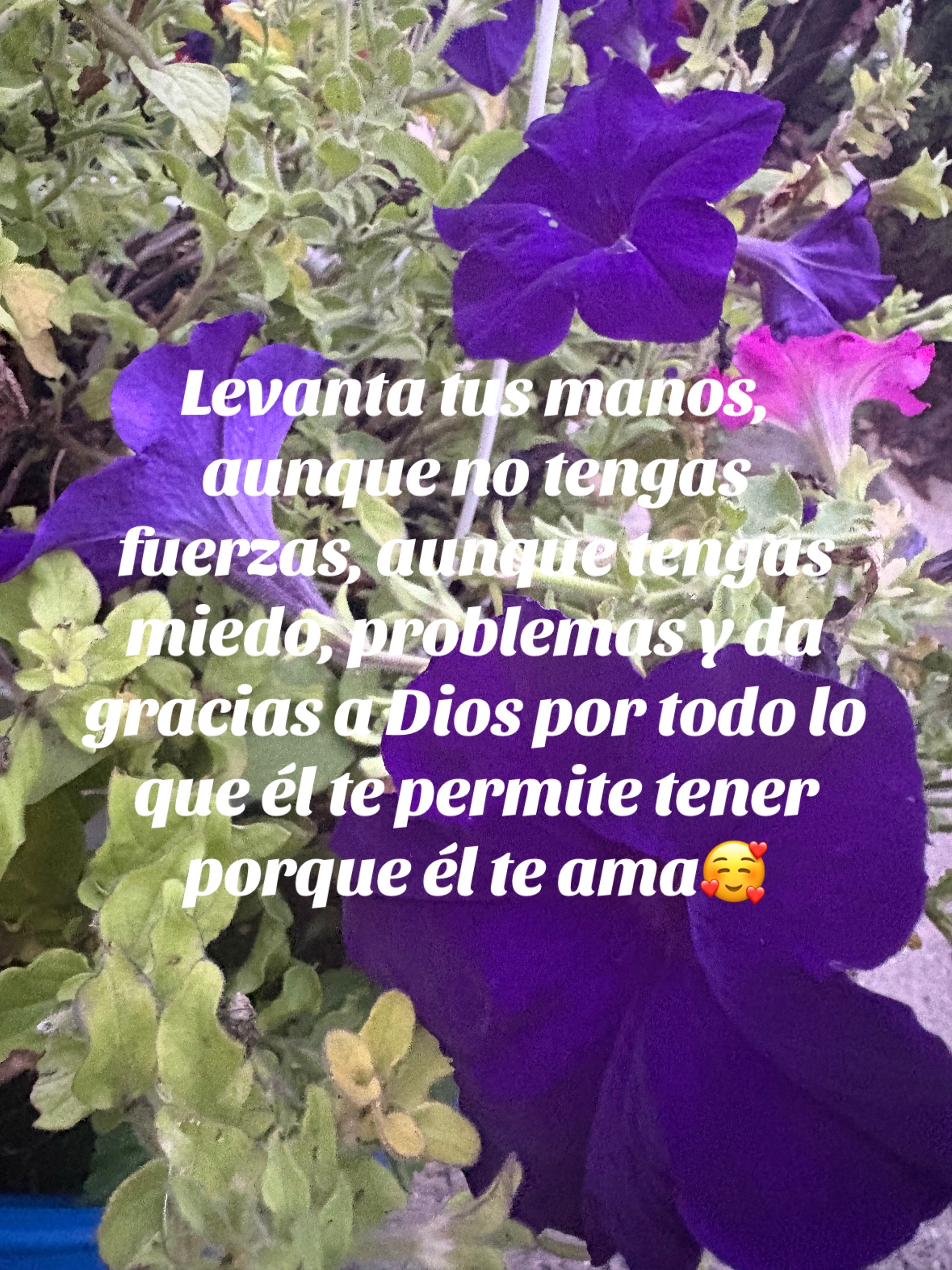 @Araceli vences