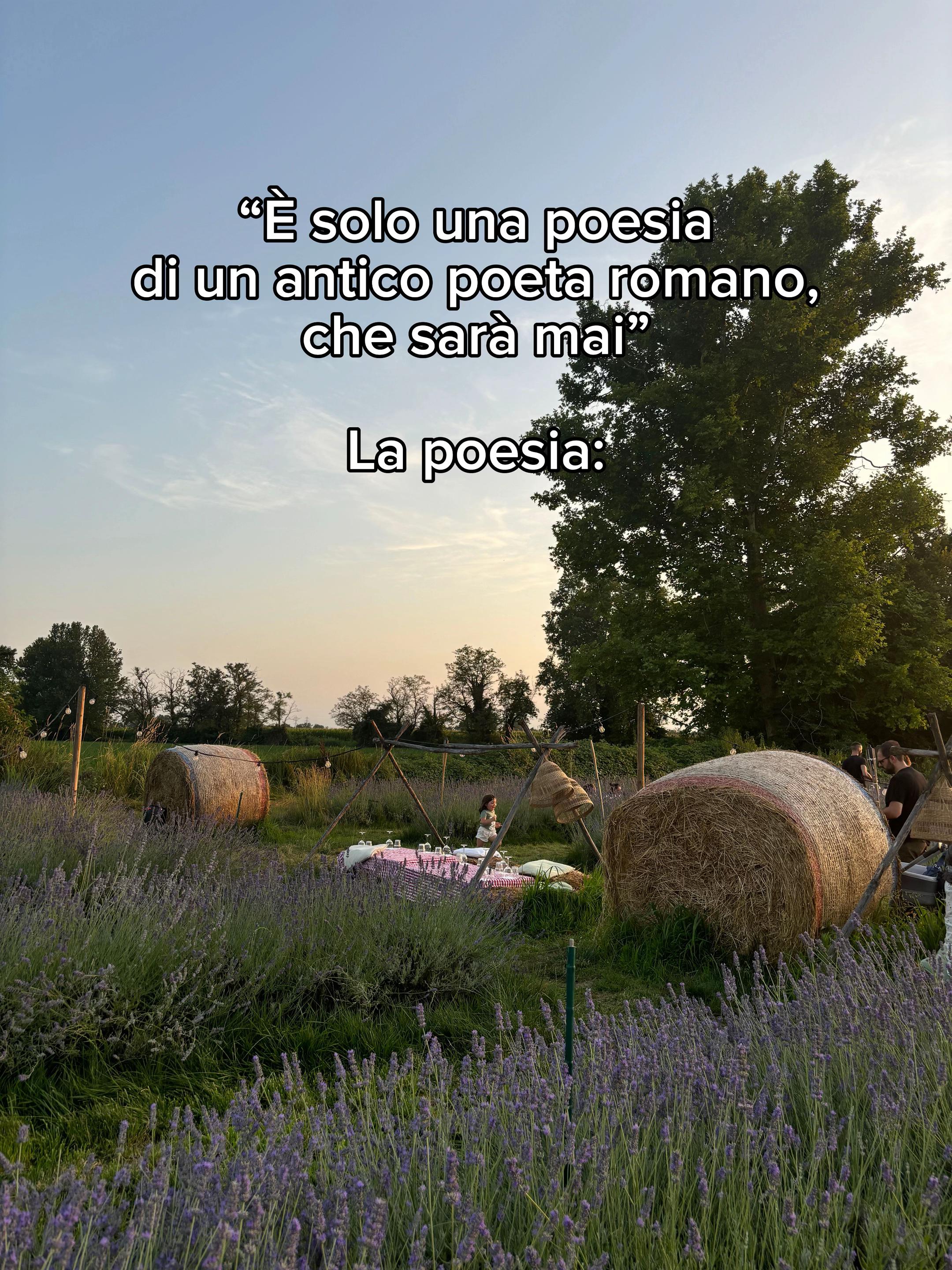 @Mattia-thebooksharmony