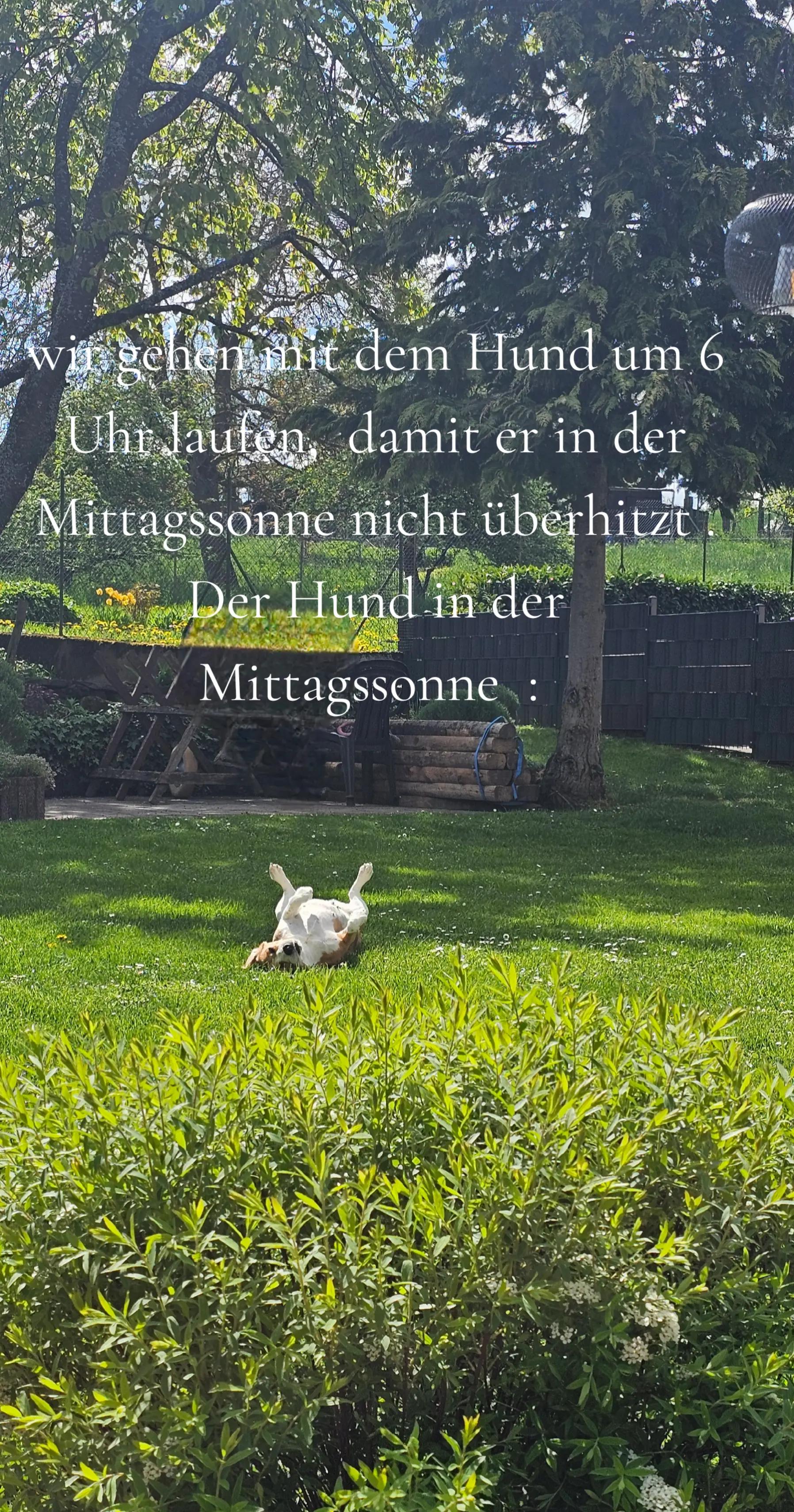 @Tanja 2904