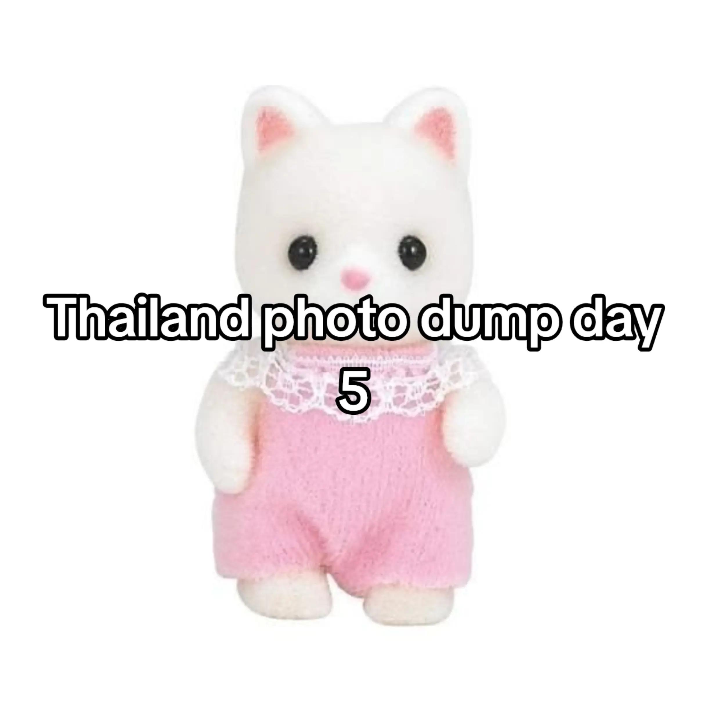 @seri 𑣲⋆