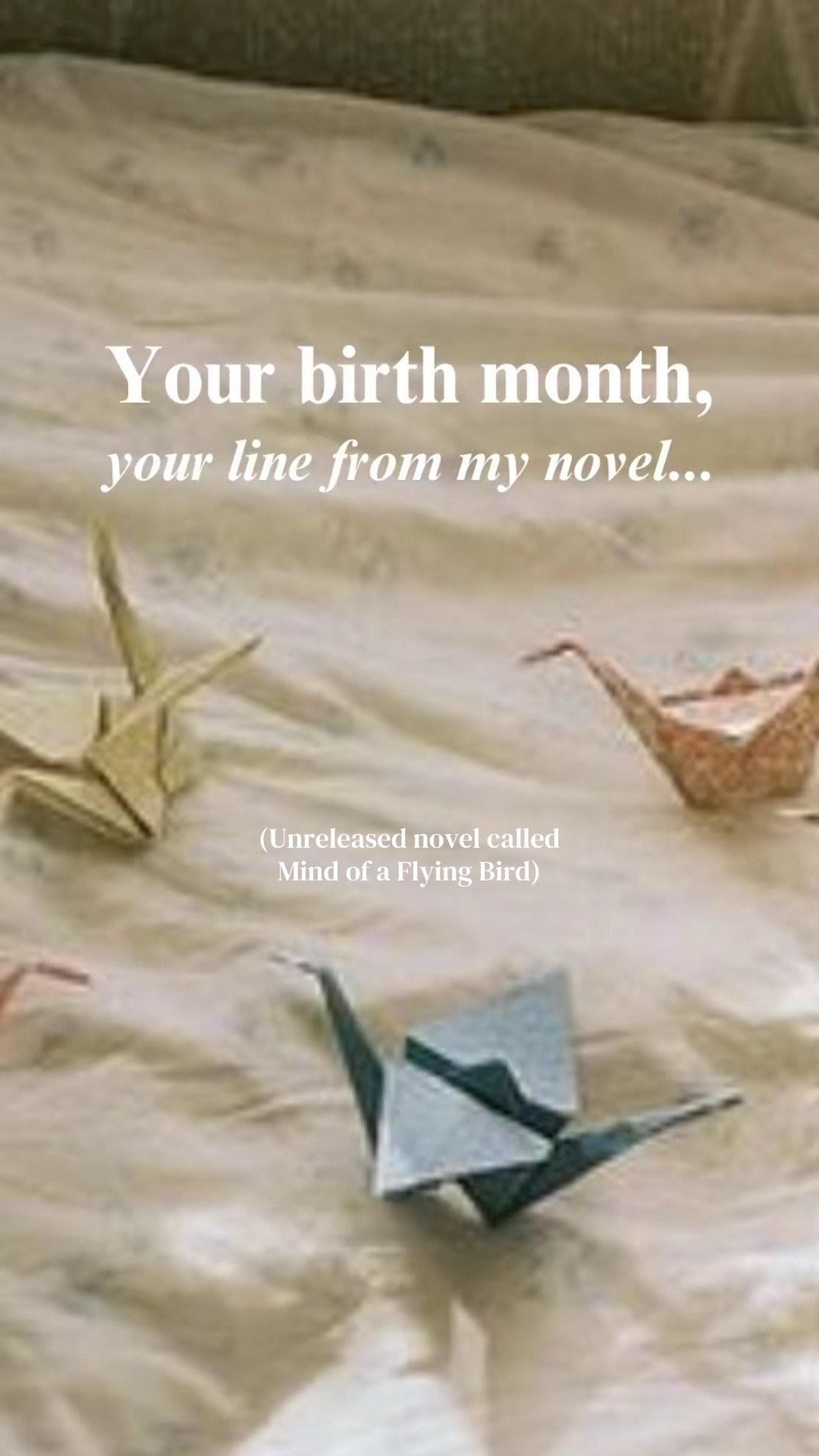 @Sophie // Writer + Illustrator