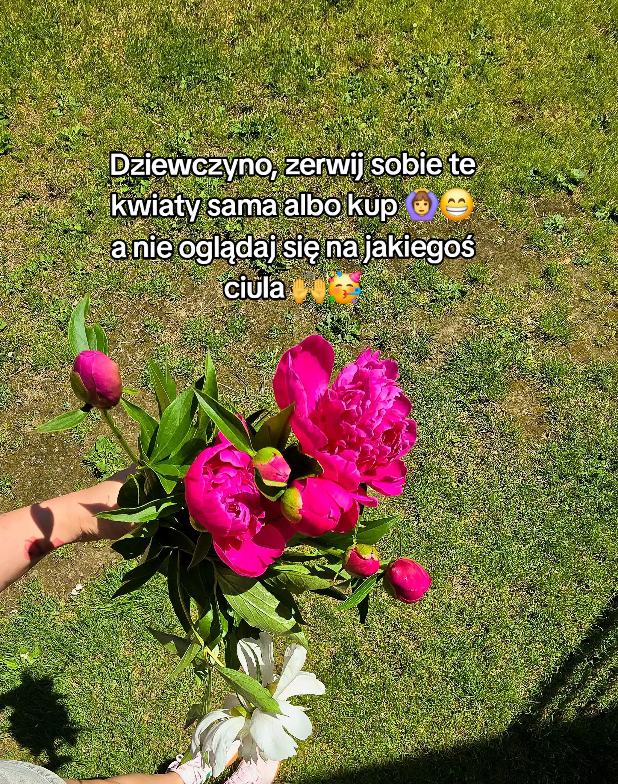@Ruda 😁