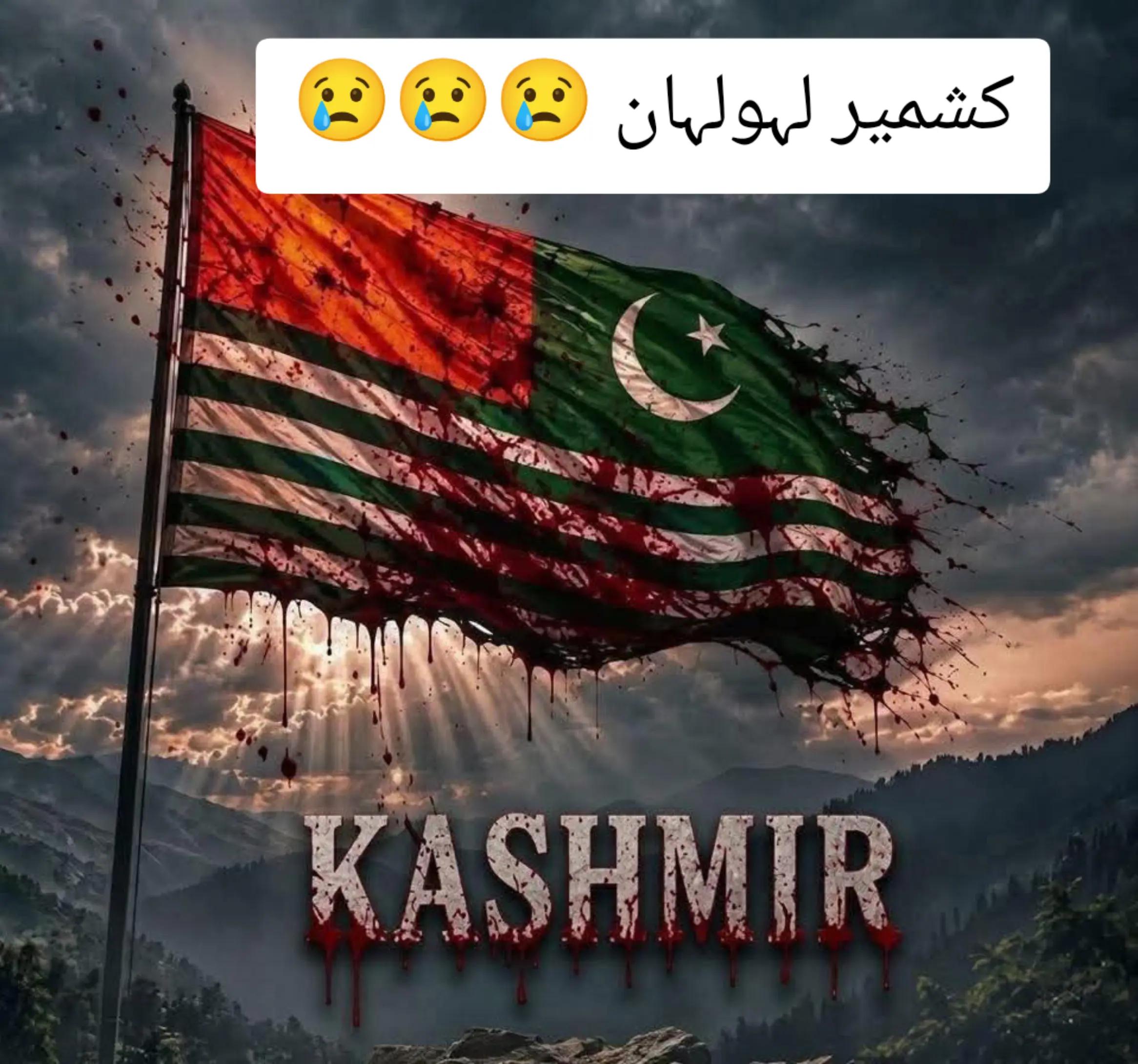 @Majid279h🇵🇰🇵🇰❤️