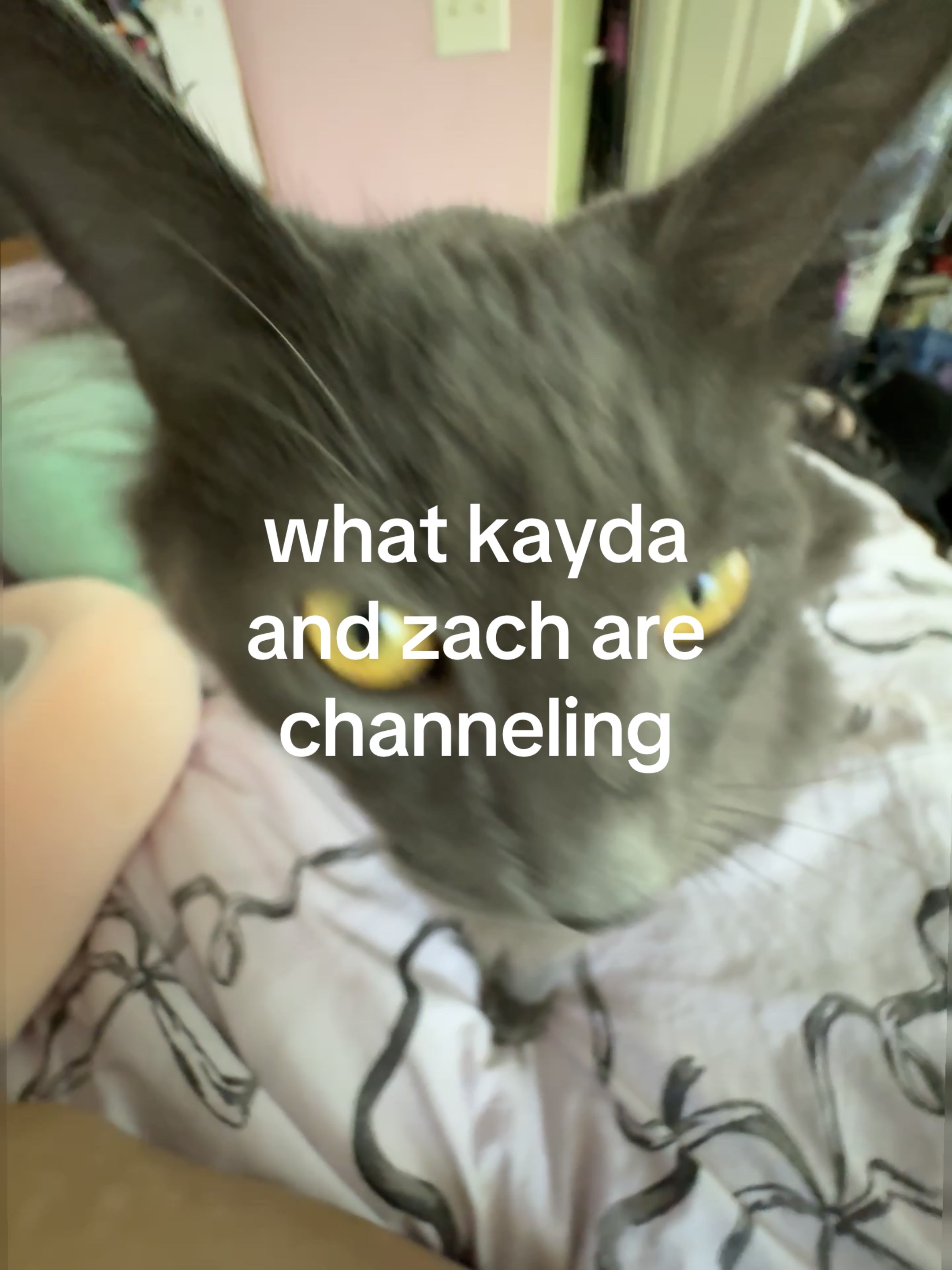 @heather🫧