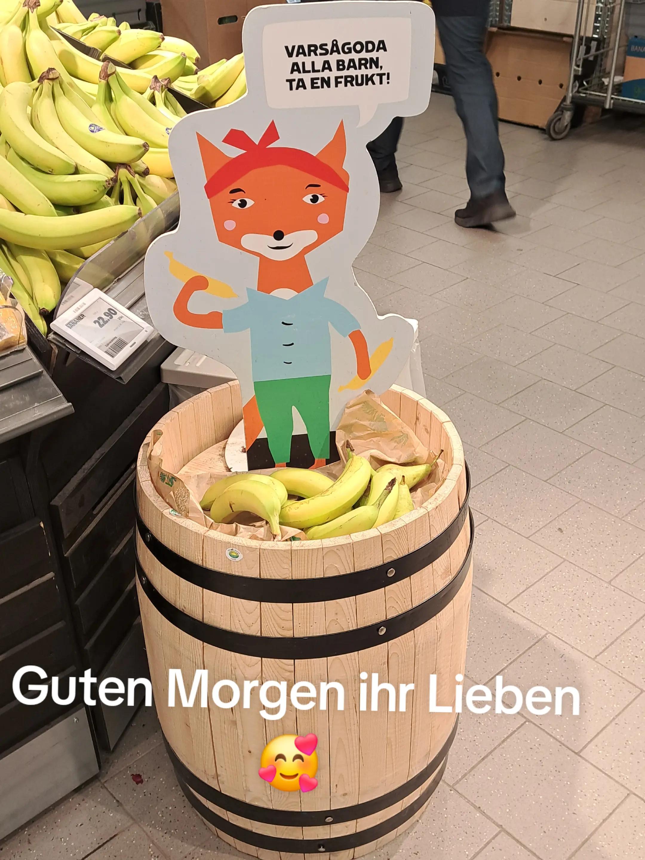 @birgit.hohleweg