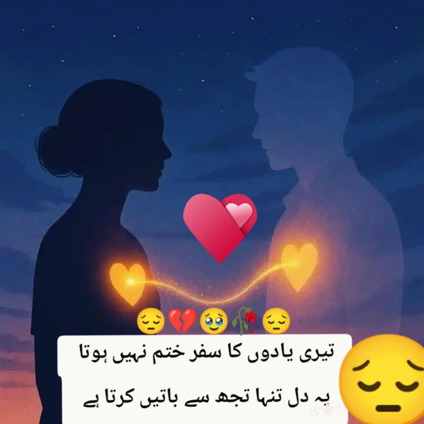 @Hassan Hussain💞