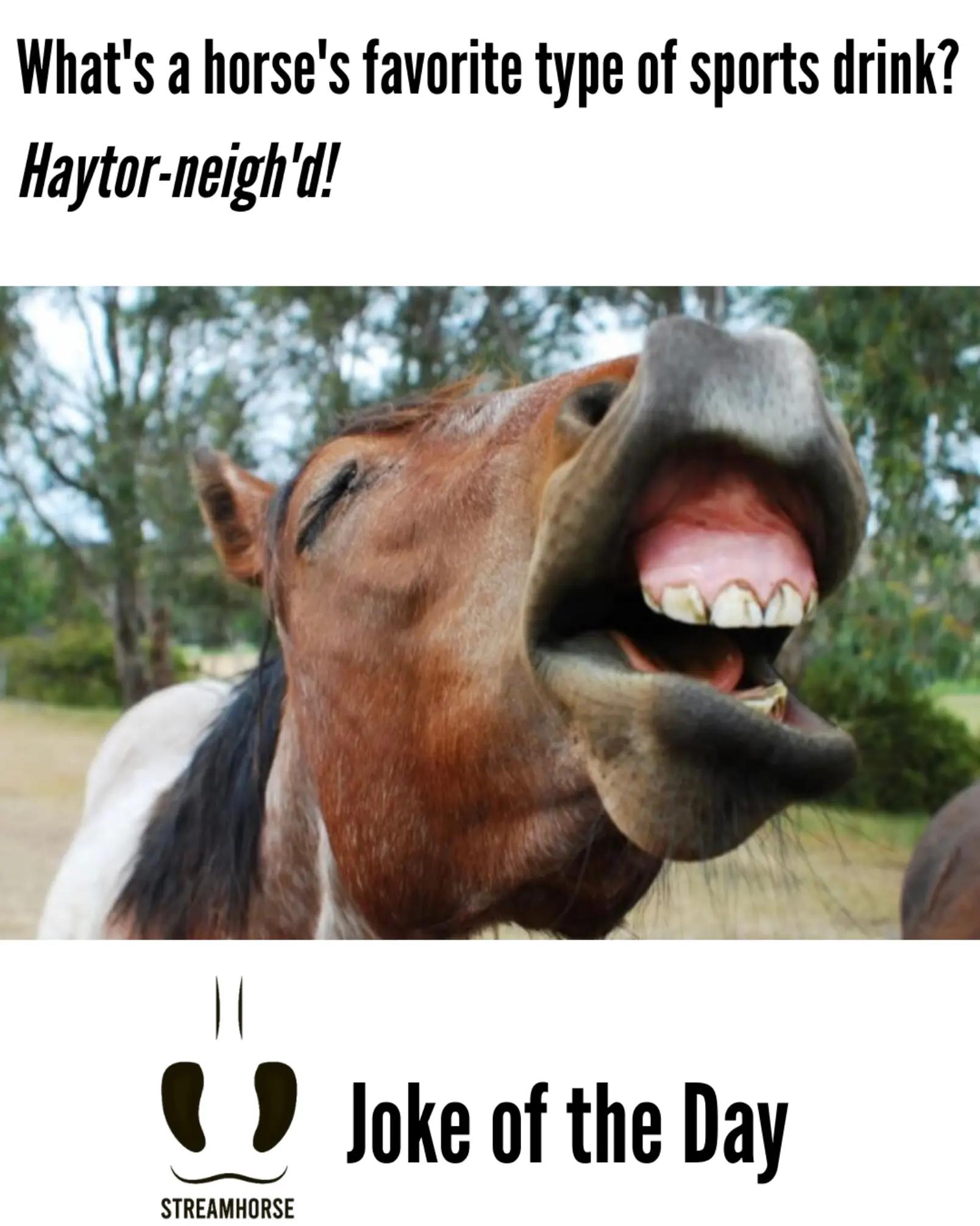 @streamhorse