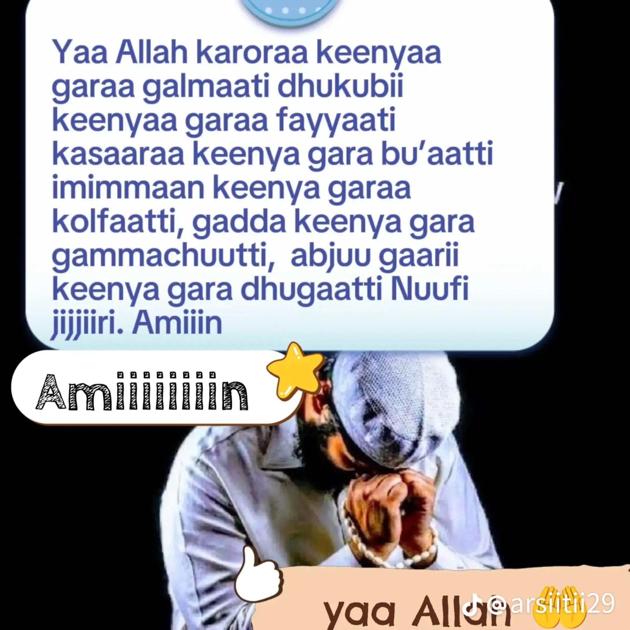 @abdiiiiiiiiiiiii shashee