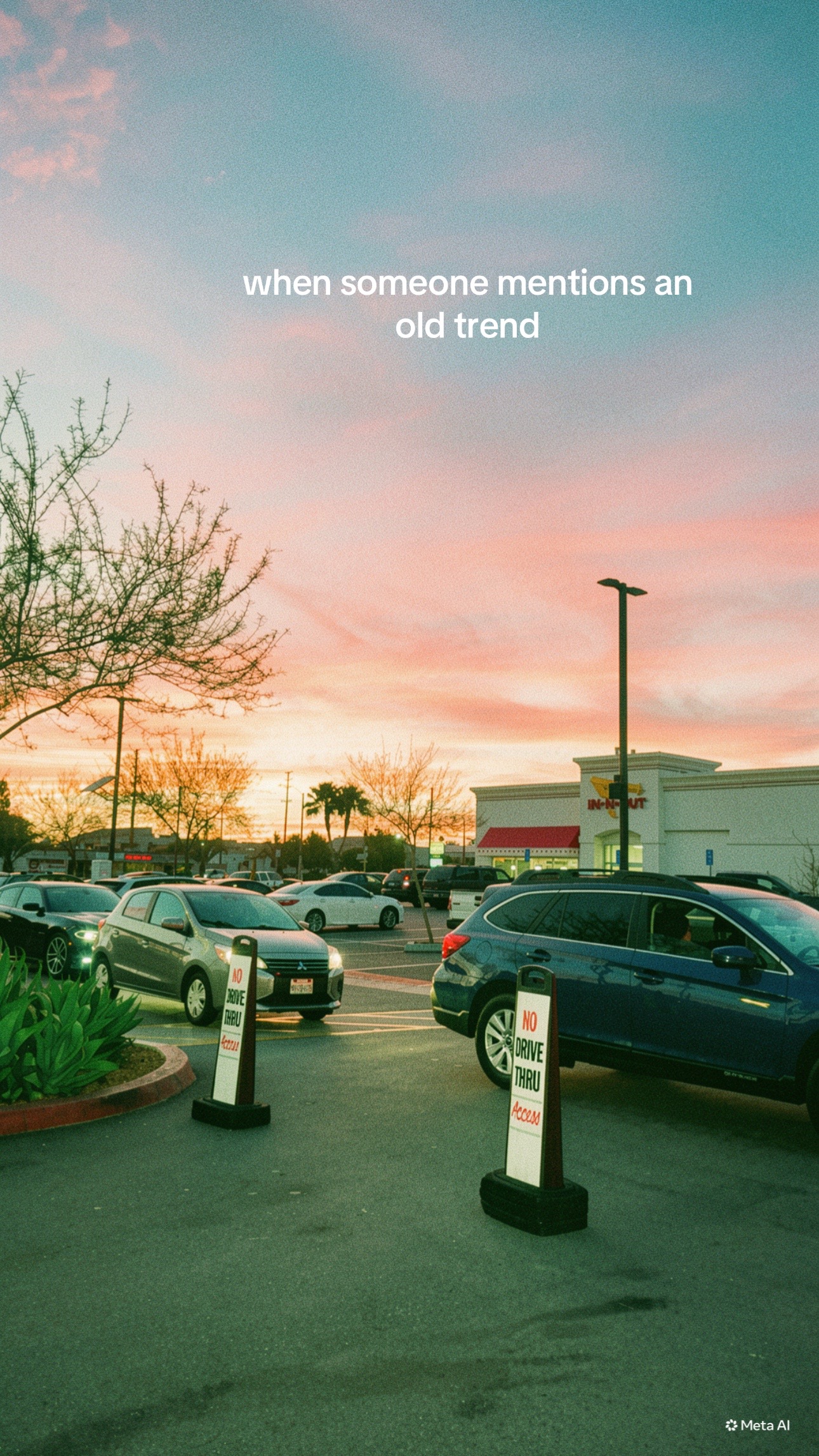@i r e l y n d 🪼