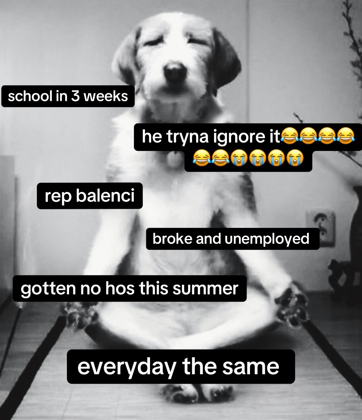 @𝔗𝔧 | ☦︎