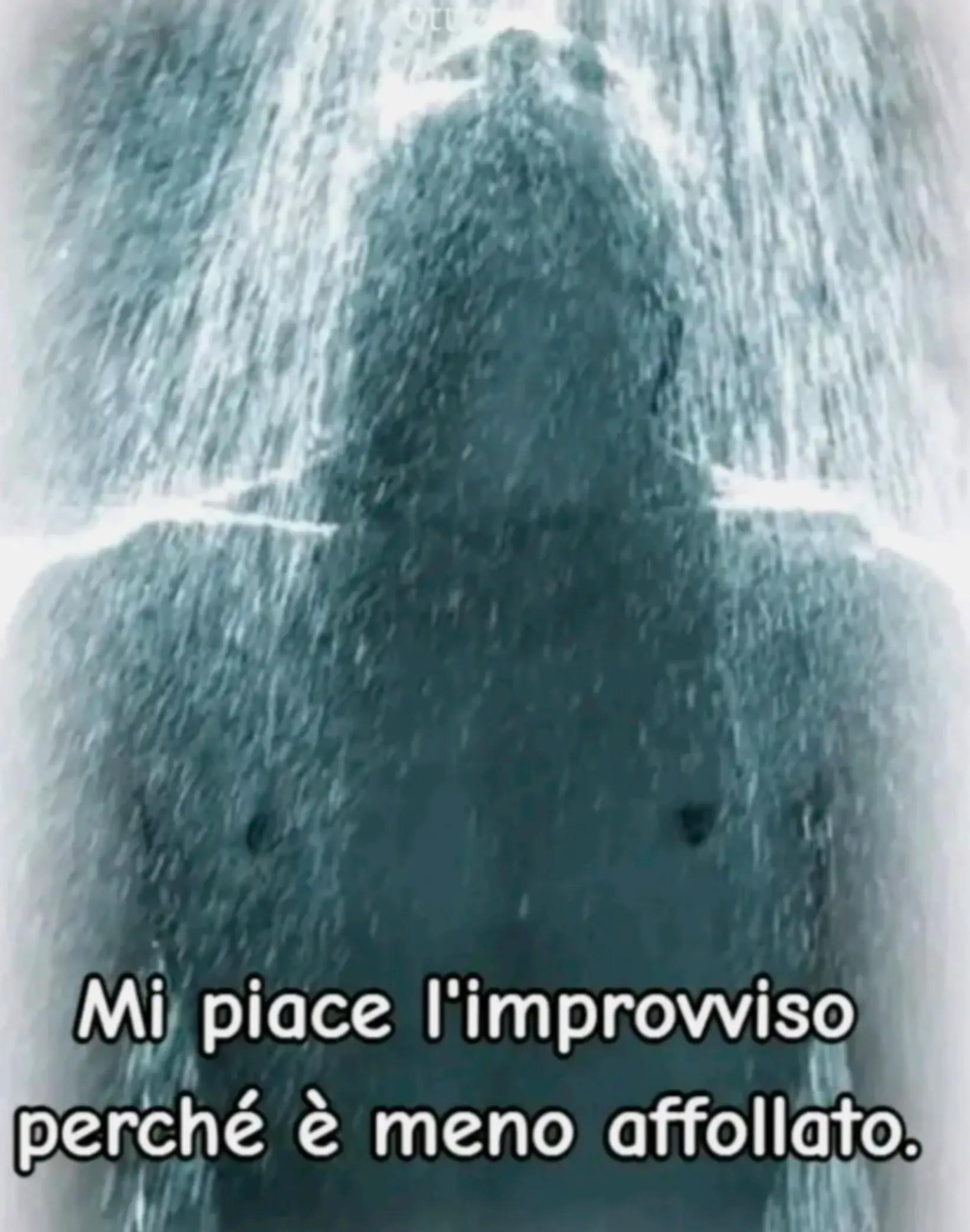 @Nico