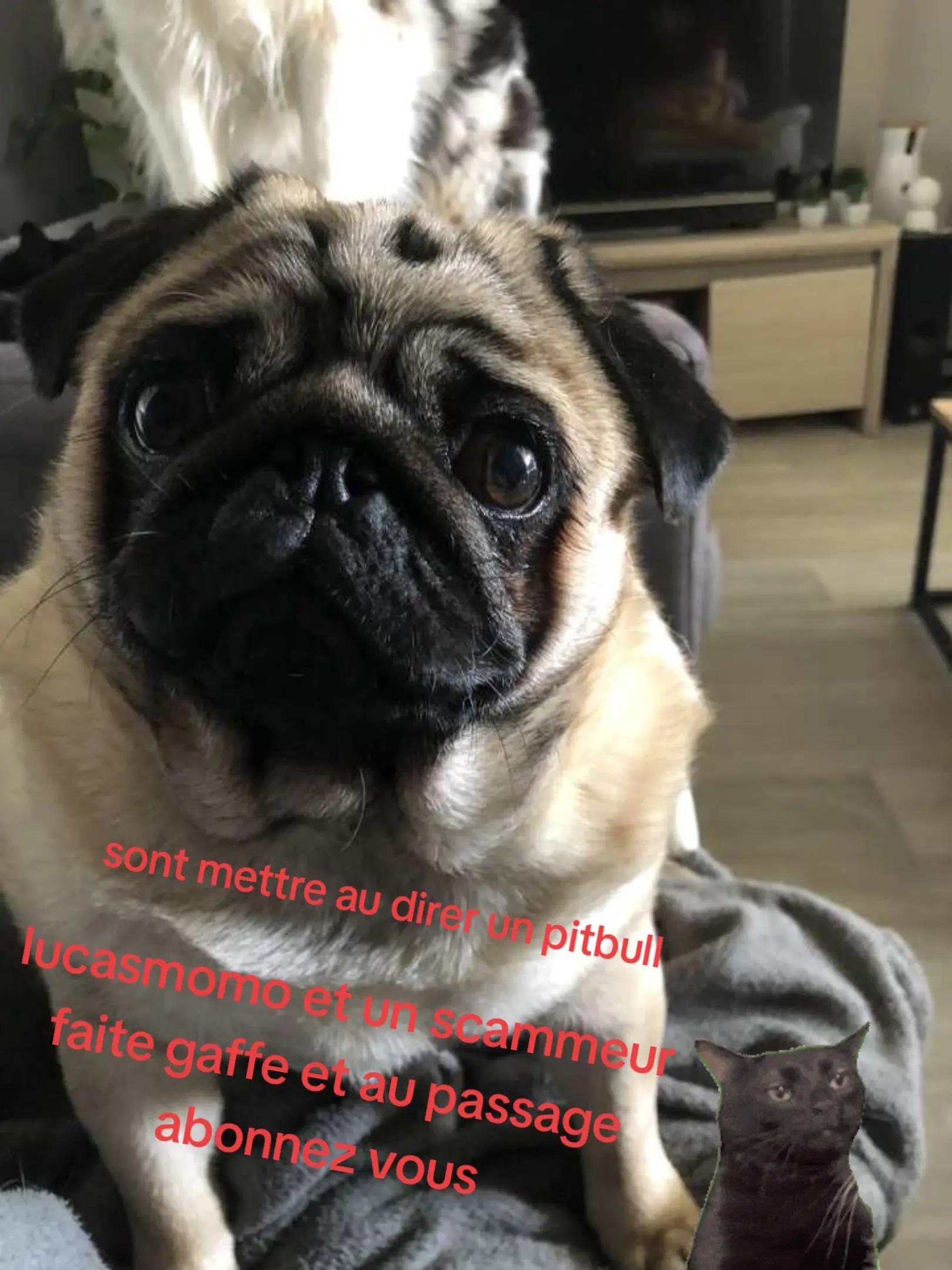 @nadim=abonnesvouslesmans